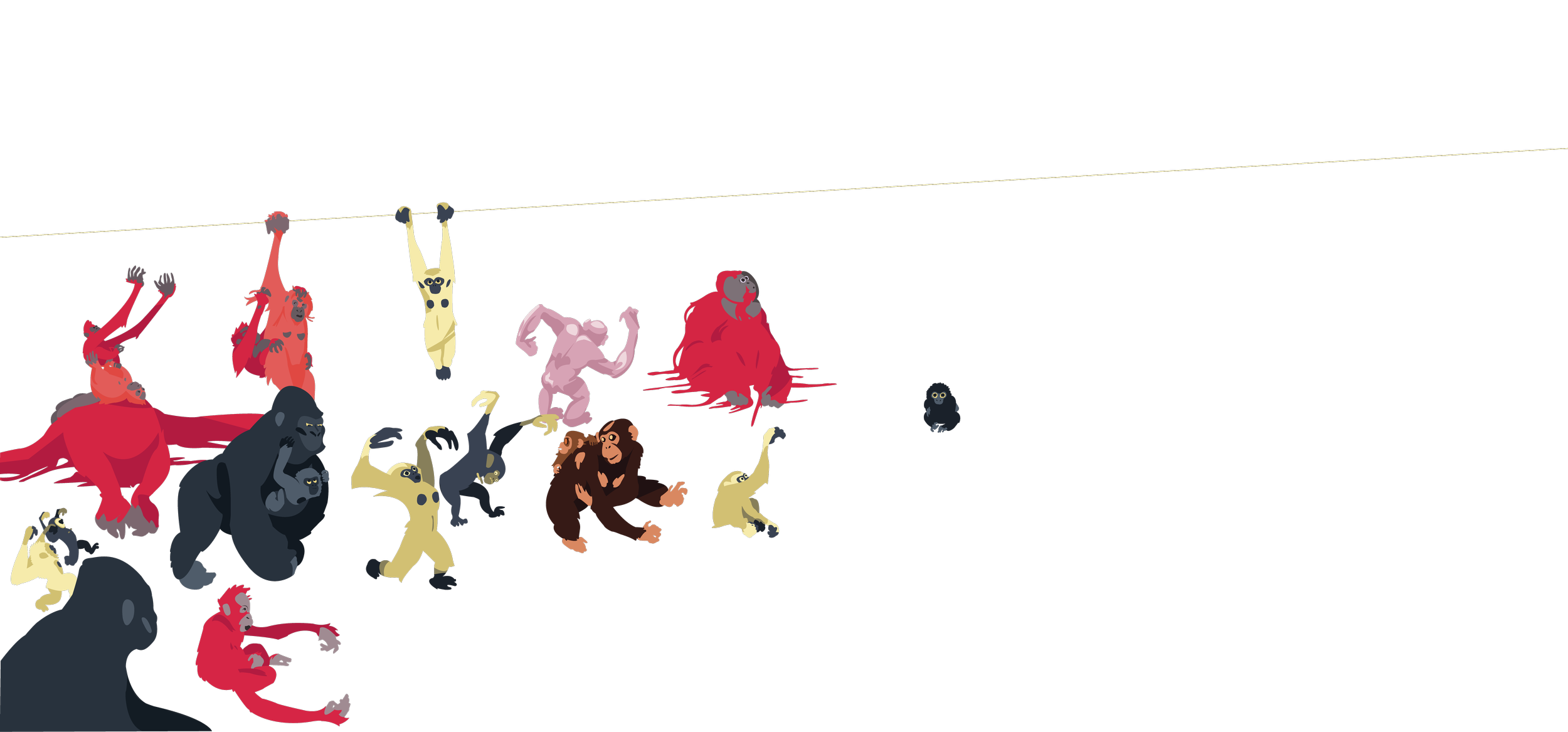Apes