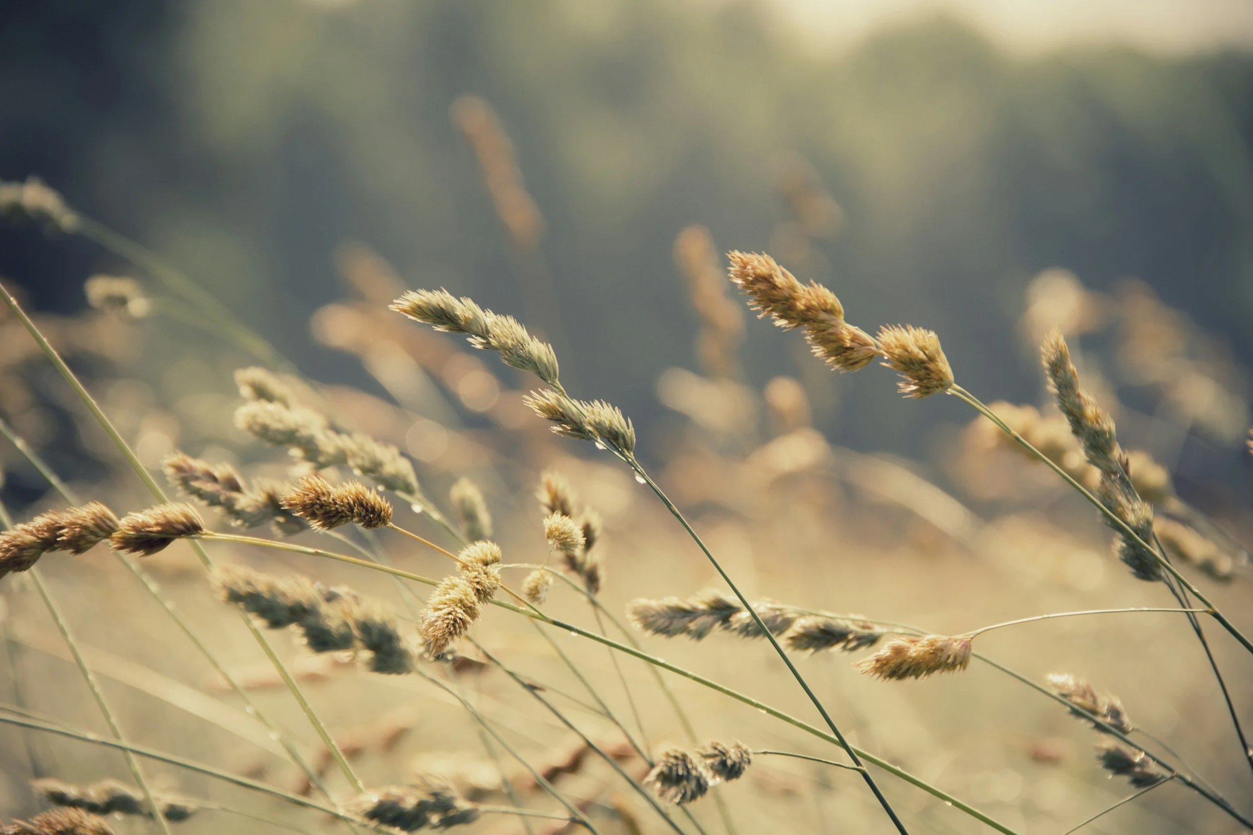 Escaping Me: Faith, Fear &amp; OCD Thinking