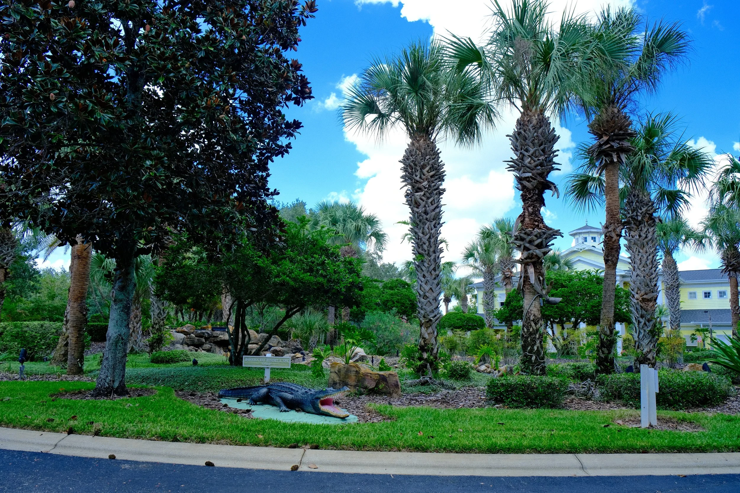 DSCF6917.JPG