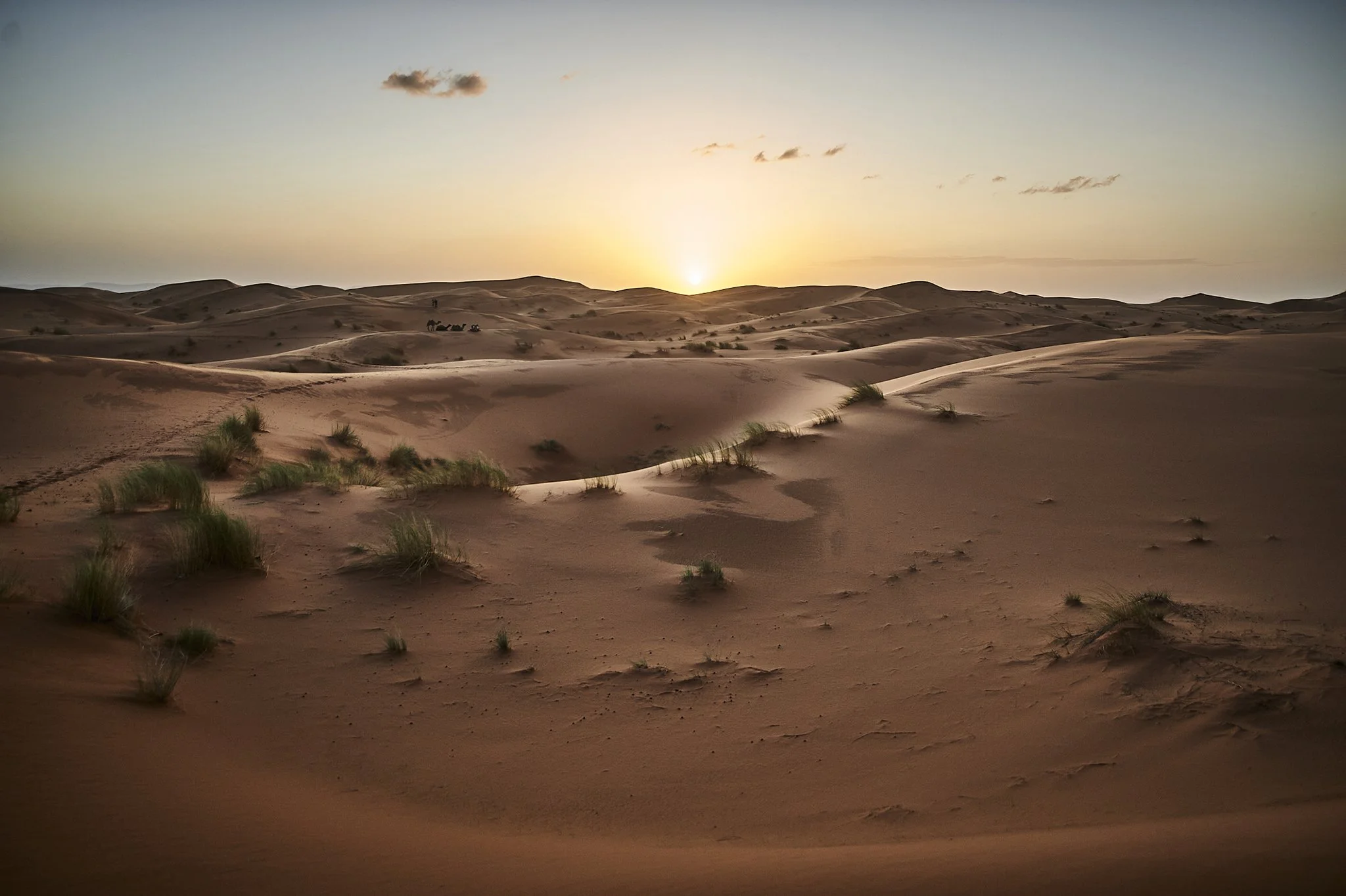 090915-30_Morocco_1443small.jpg