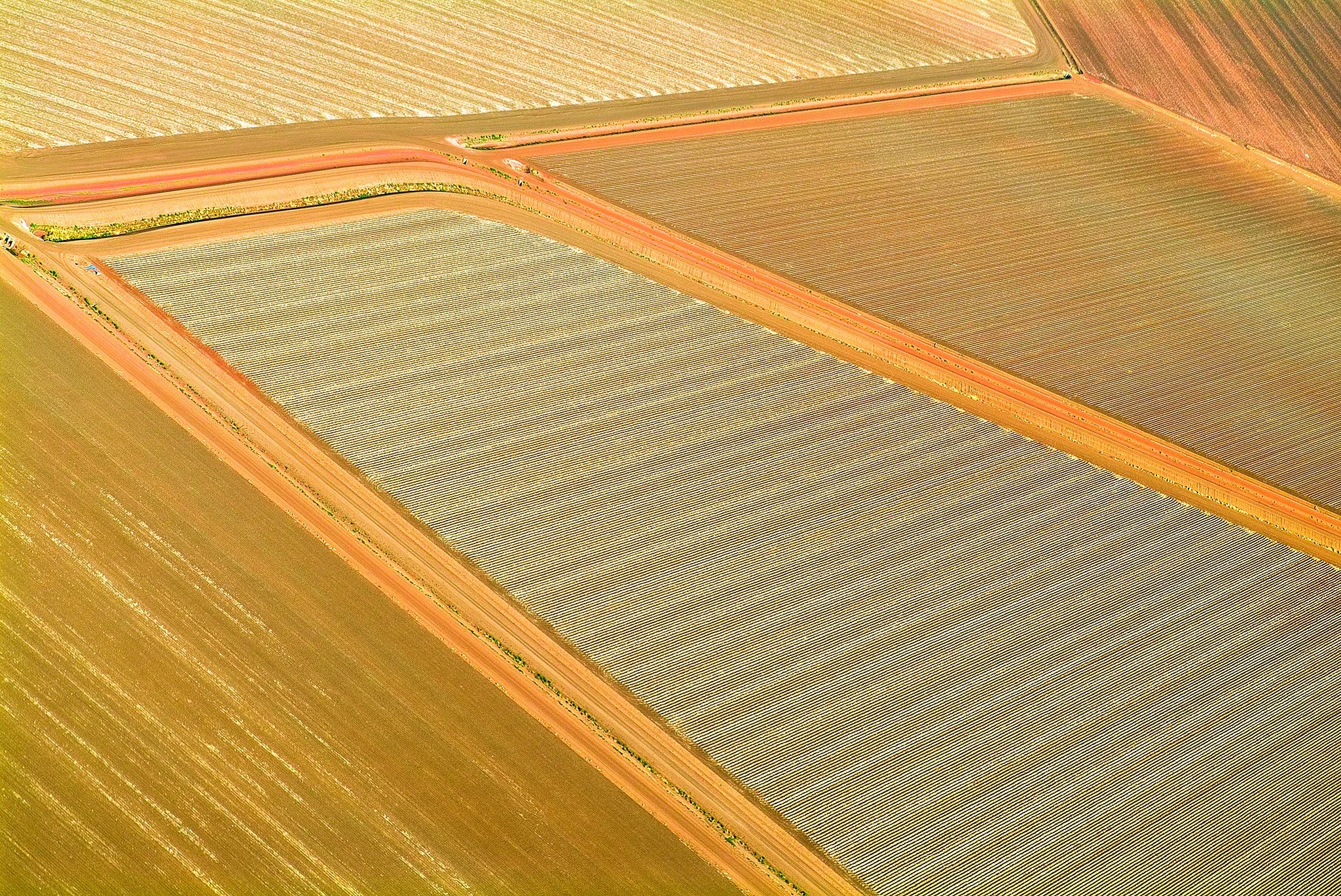 DSCF0069small.jpg