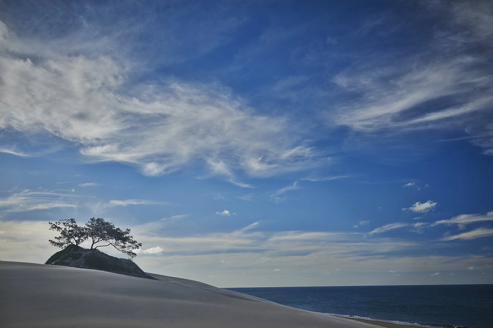 Fraser Island Christmas_2014_0081small.jpg