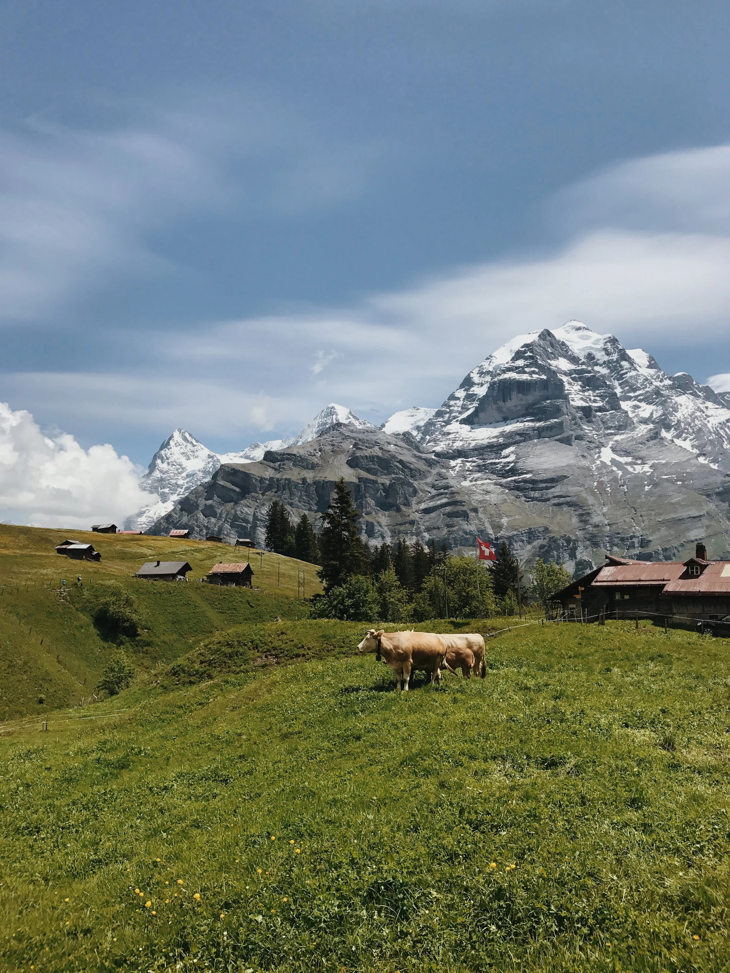 FullSizeRender_VSCO (2).JPG