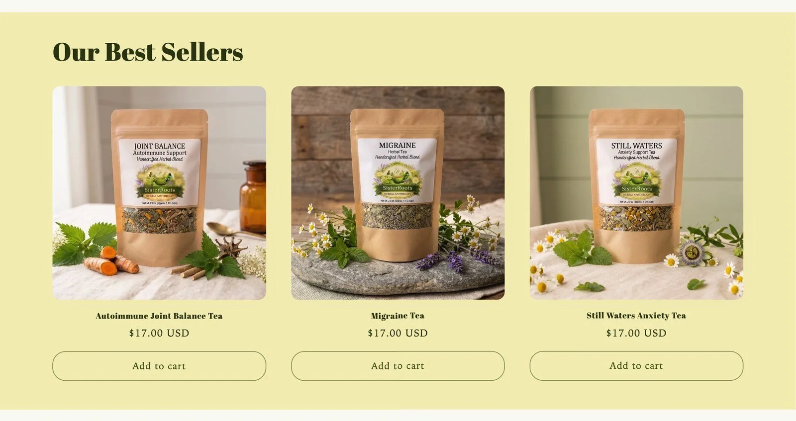 SisterRoots-Desktop-04-best-sellers.jpg