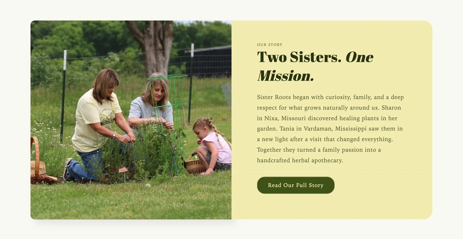 SisterRoots-Desktop-06-our-story.jpg