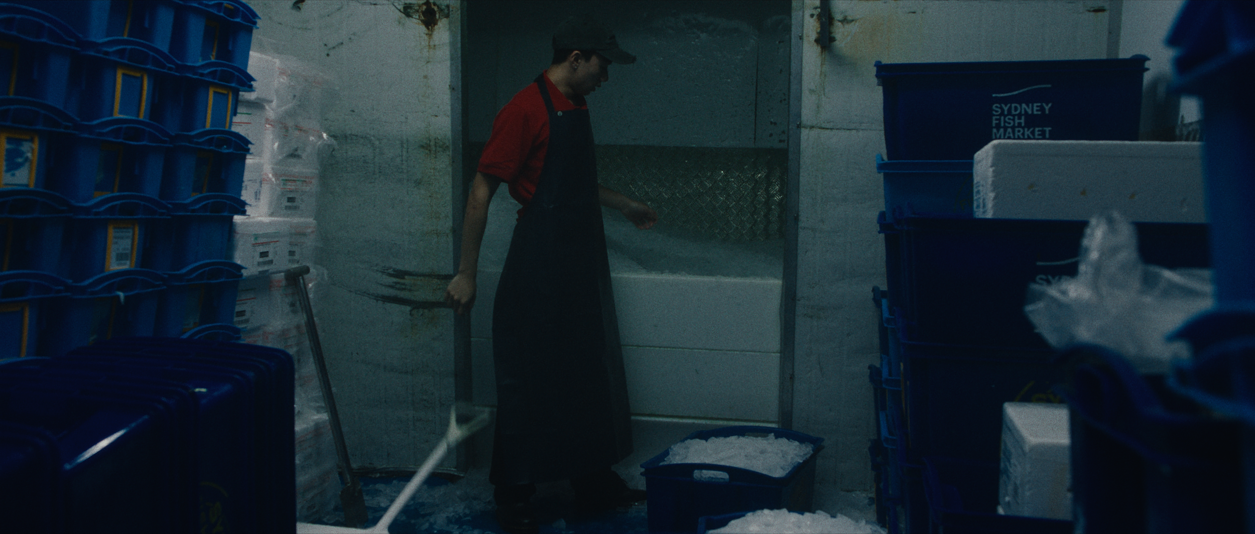 Emery Kaison working in Sydney Fish Markets in I'll Be There For You music video.