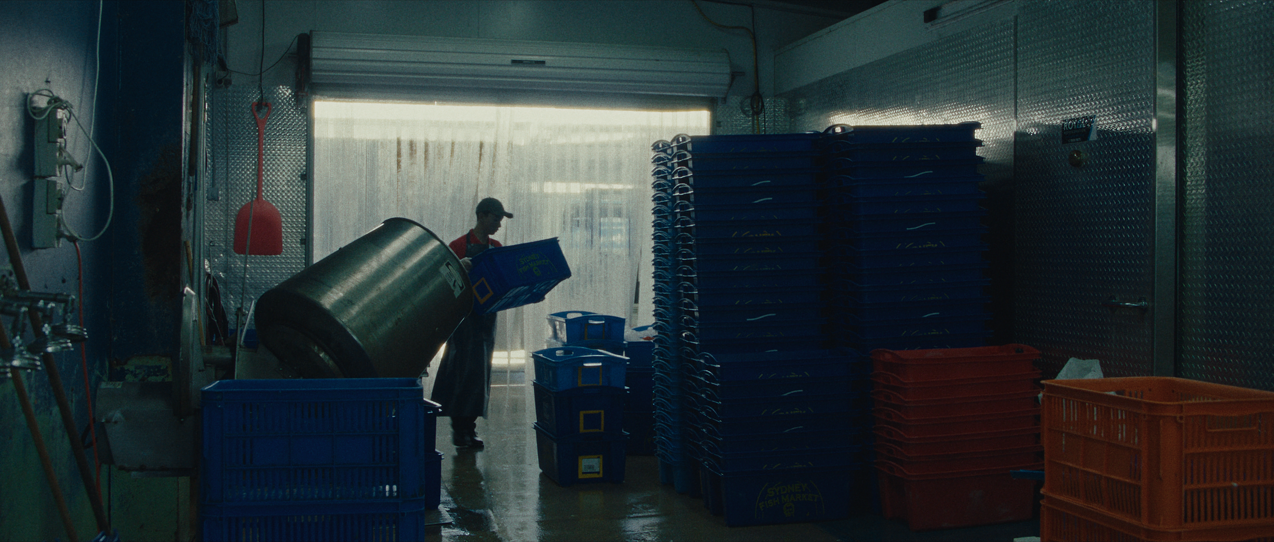 Emery Kaison working in Sydney Fish Markets in I'll Be There For You music video.
