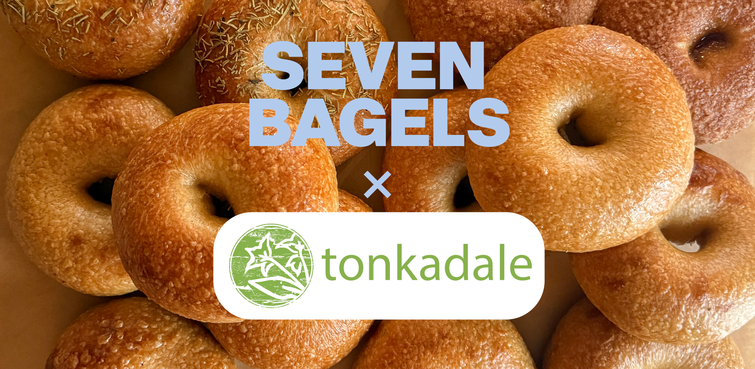 Tonkadale Greenhouse