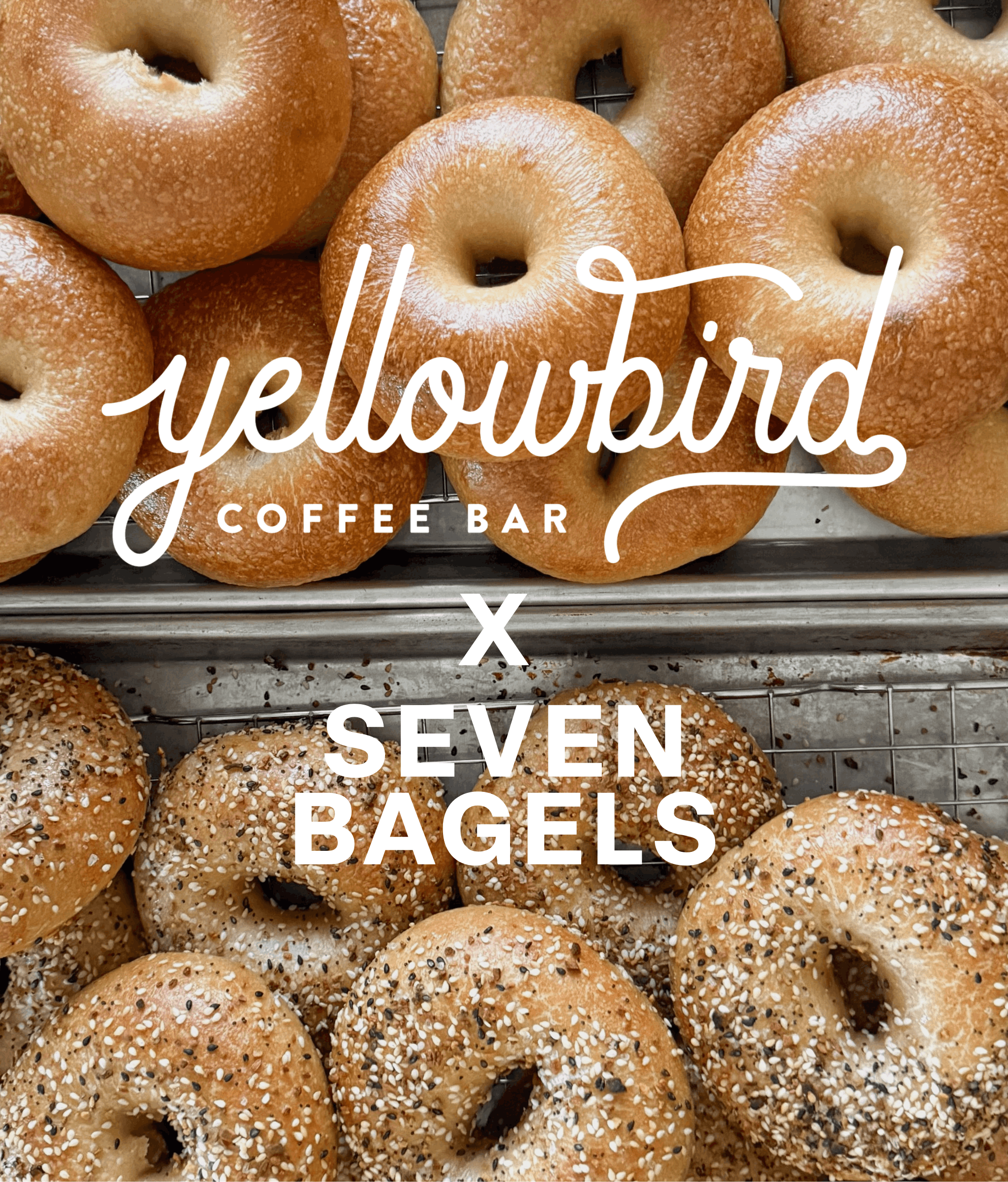 Yellowbird Coffee Bar