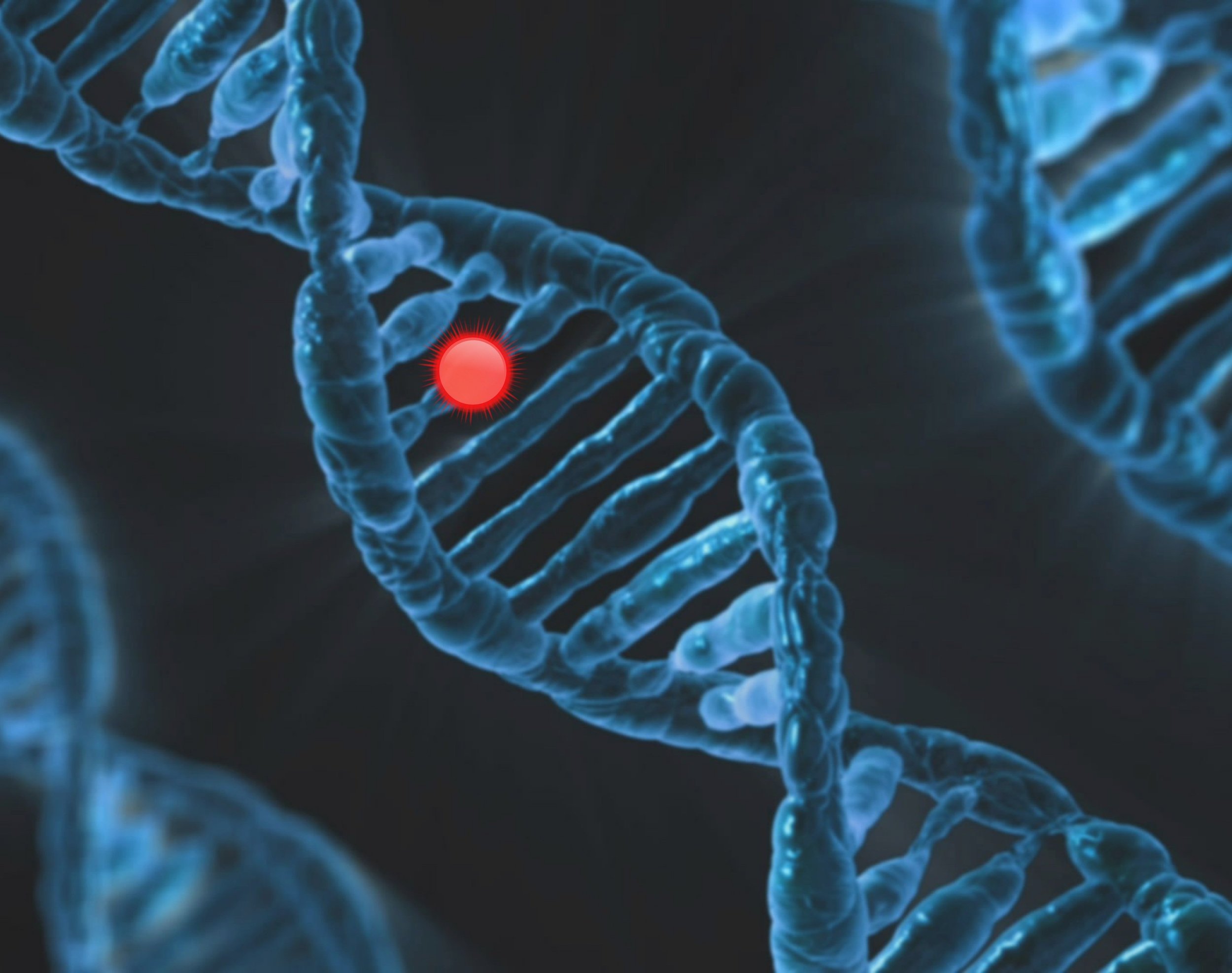 dna-6560897.jpg