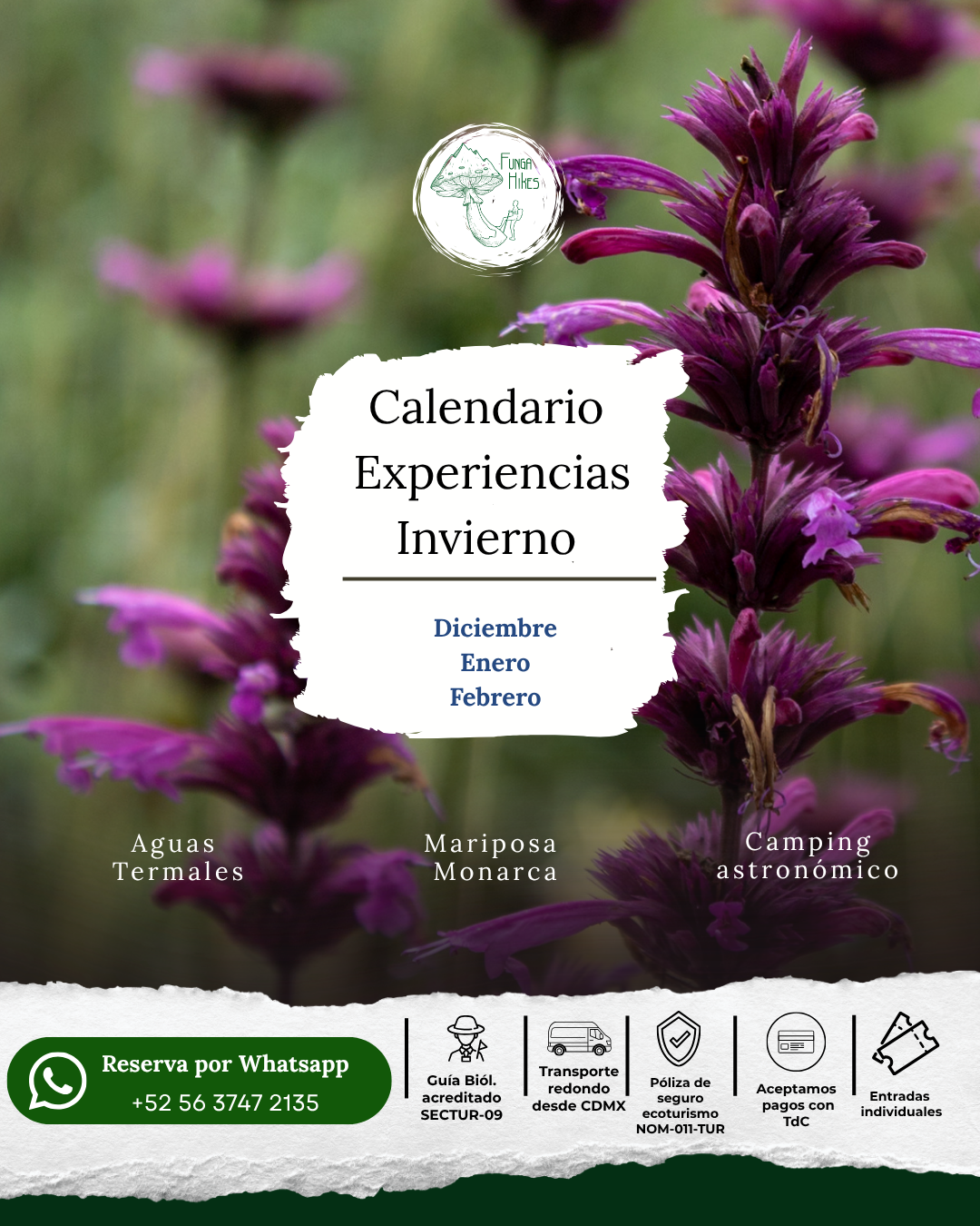 Calendario experiencias tours de invierno desde CDMX con transporte y entradas incluidas

