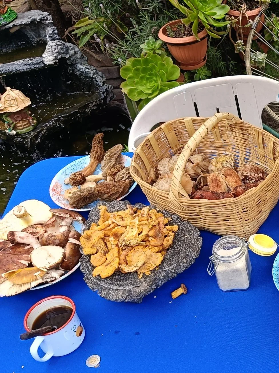 IMG20240920121839.jpg