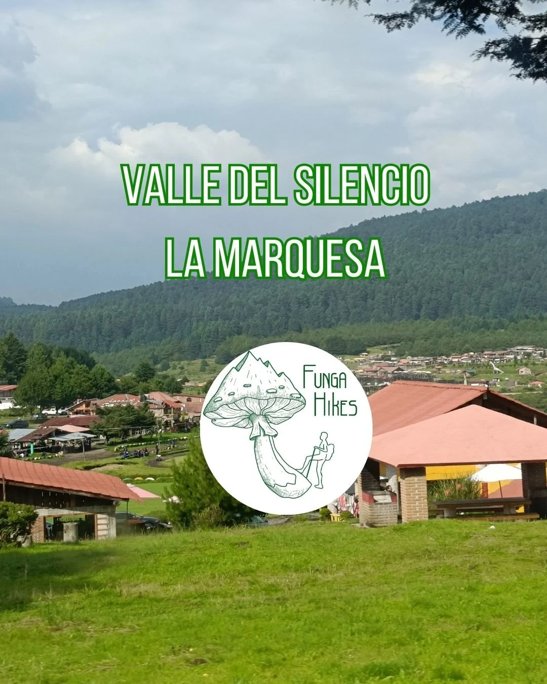 Micoturismo en la Marquesa. Valle del Silencio. Senderismo y gastronomía fungi. Sabores del Bosque