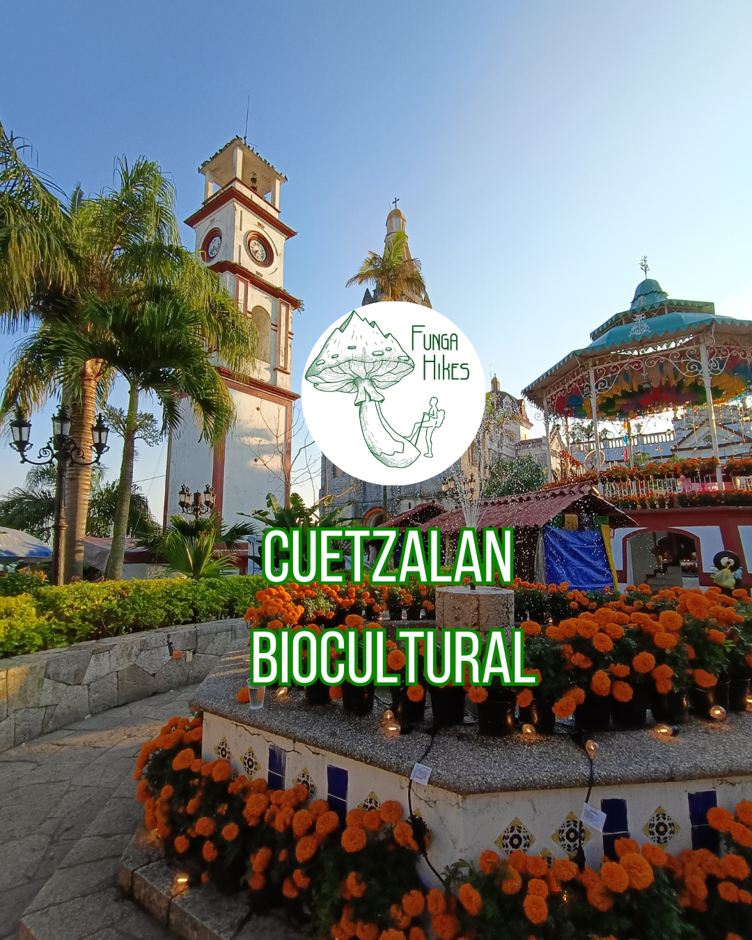 Cuetzalan Bio-cultural. Día de muertos. Senderismo en bosque mesófilo.
