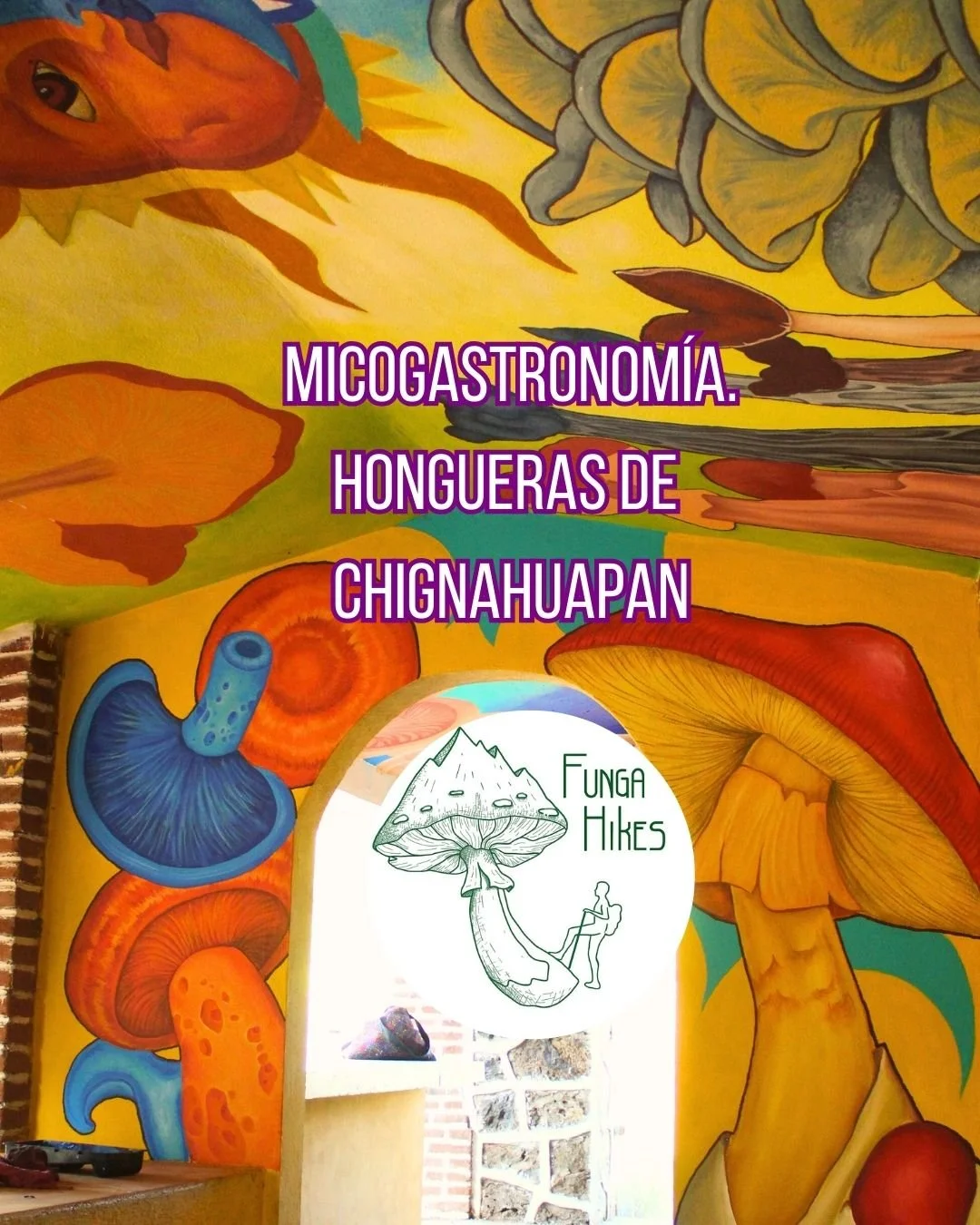 Chignahuapan. Micogastronomía. Saberes y Sabores de los Hongos.
