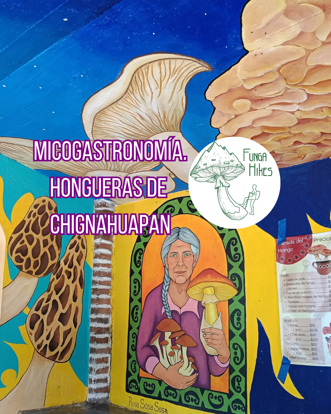 Chignahuapan. Micogastronomía. Saberes y Sabores de los Hongos.
