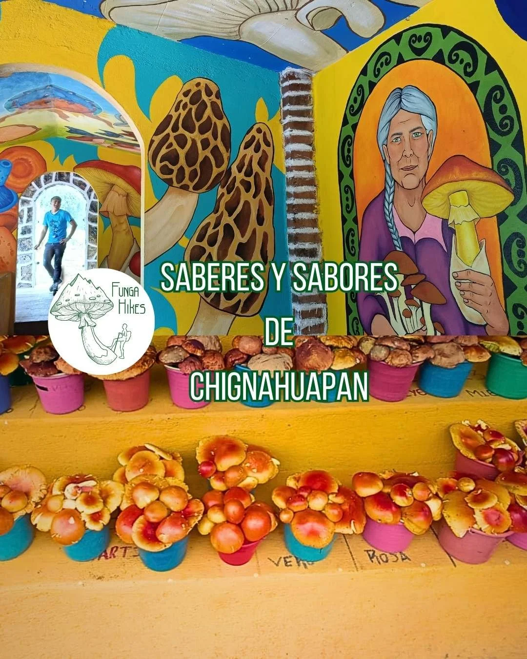 Tour de hongos a Chingahuapan. Saberes y Sabores. Edición Yemas Amanita caesarea