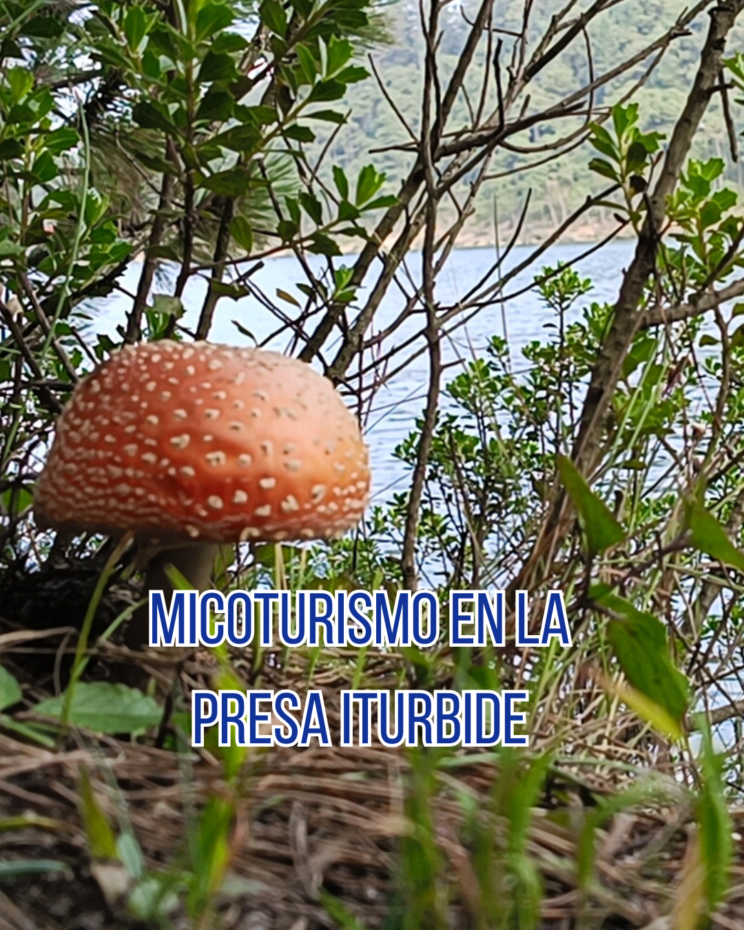 Micoturismo en la Presa Iturbide.