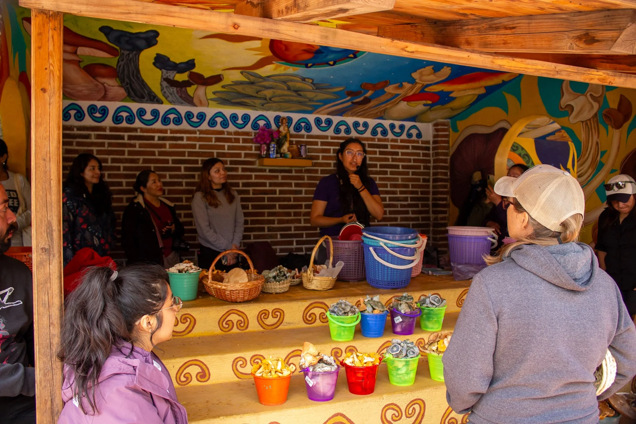Cocina/Mural. Explicación micológica