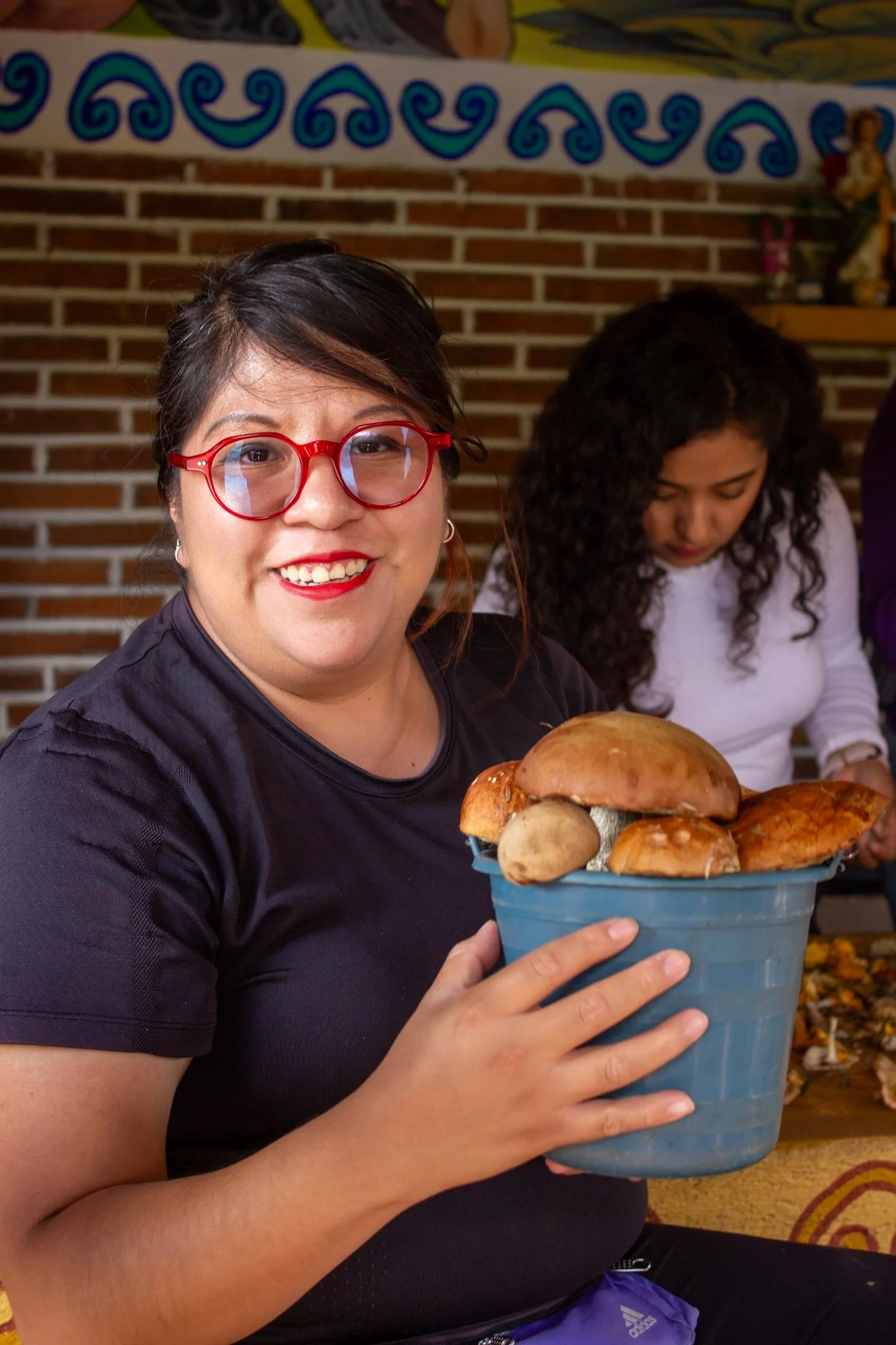Hongos comestibles "Cemas" para llevar 