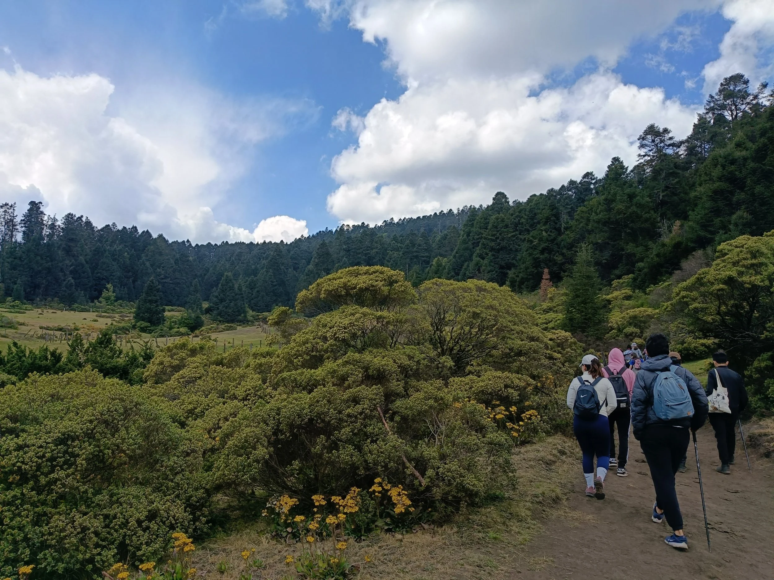 processed_IMG20260314120839.jpg