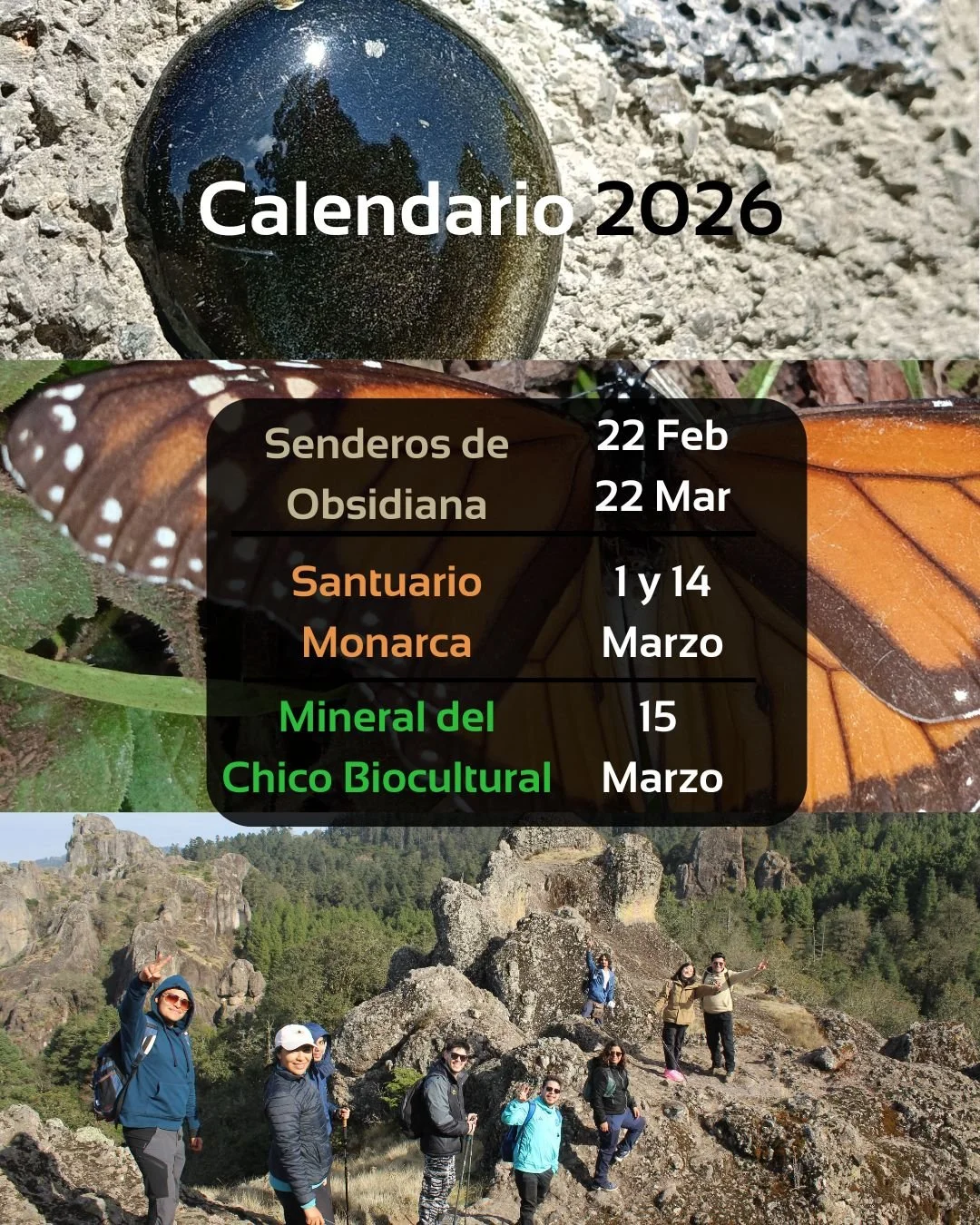 Tours febrero marzo meta.jpg