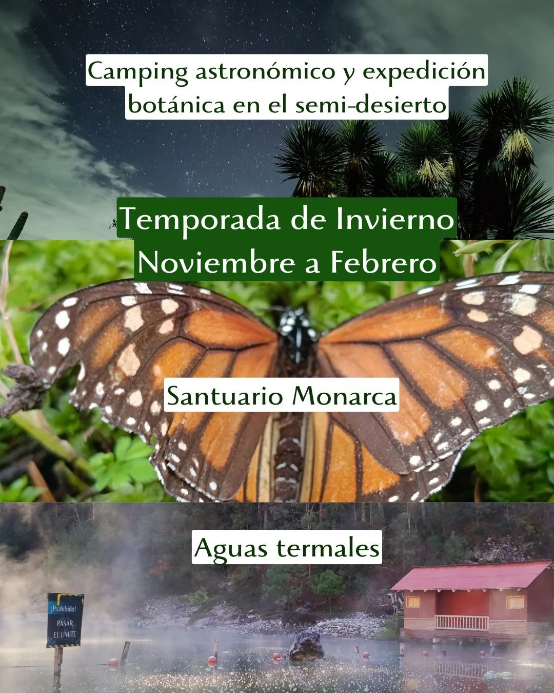 Camping astronómico. tour al santuario monarica, tour de aguas termales