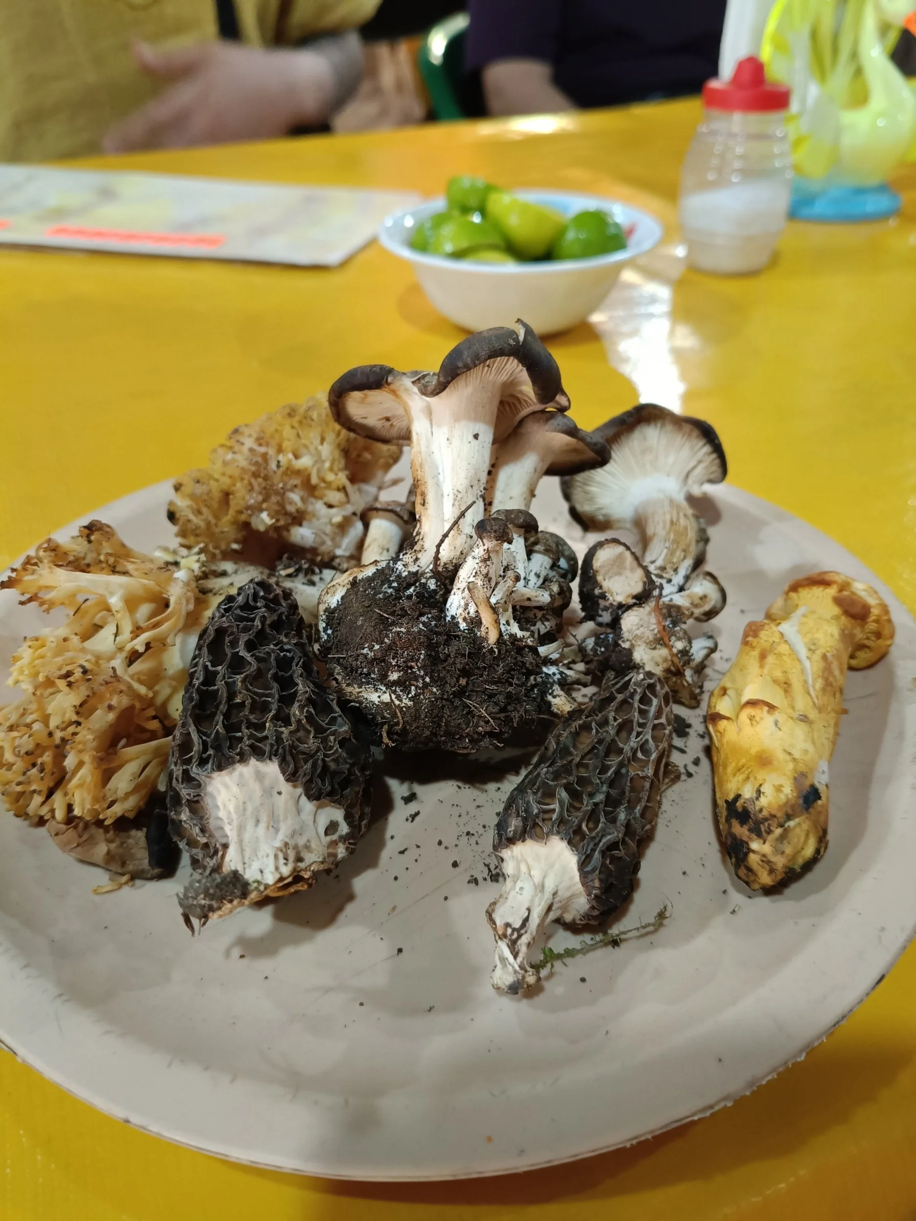 processed_IMG20250726152344.jpg