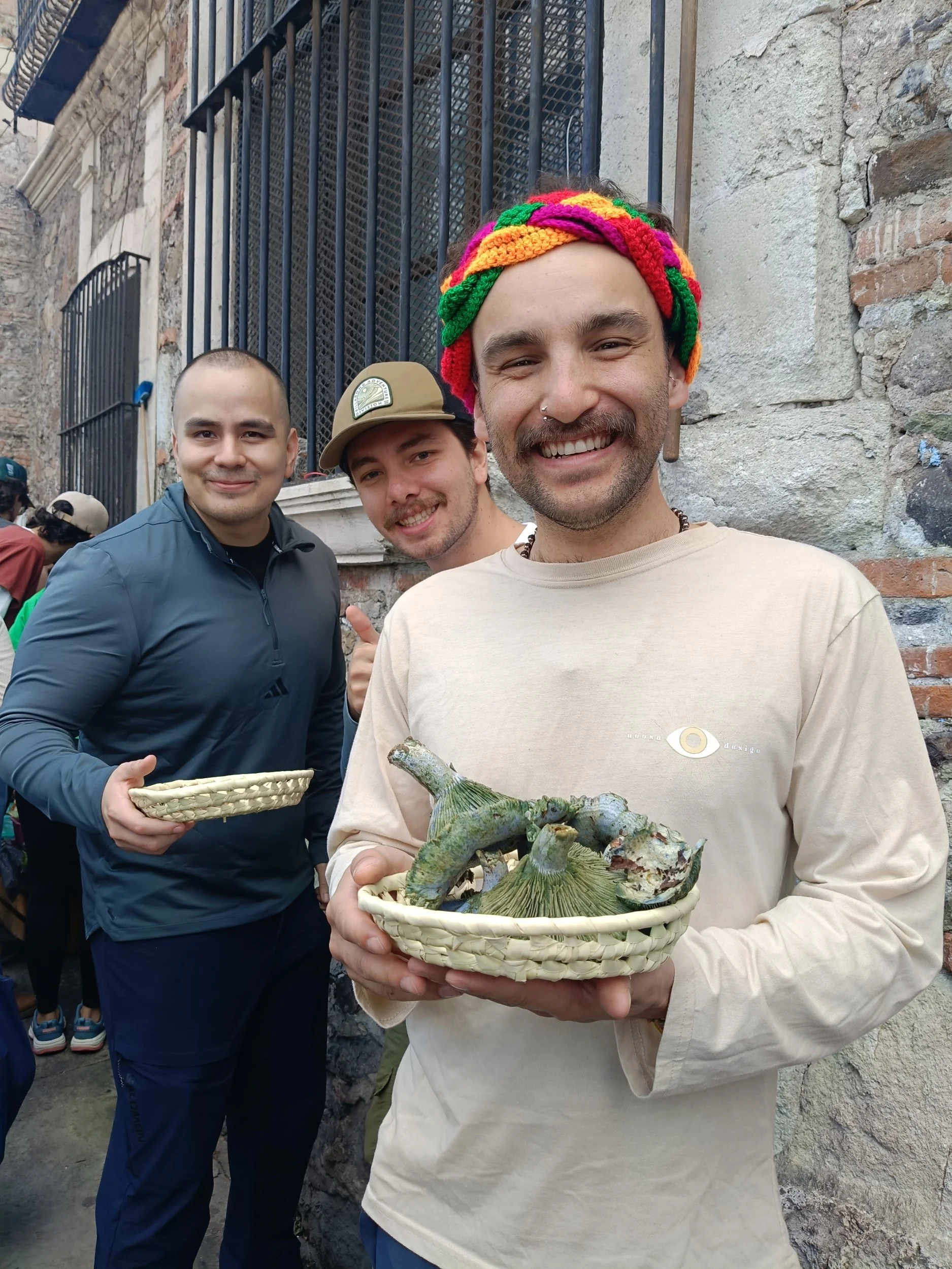 Lleva hongos para comer y compartir en casa
