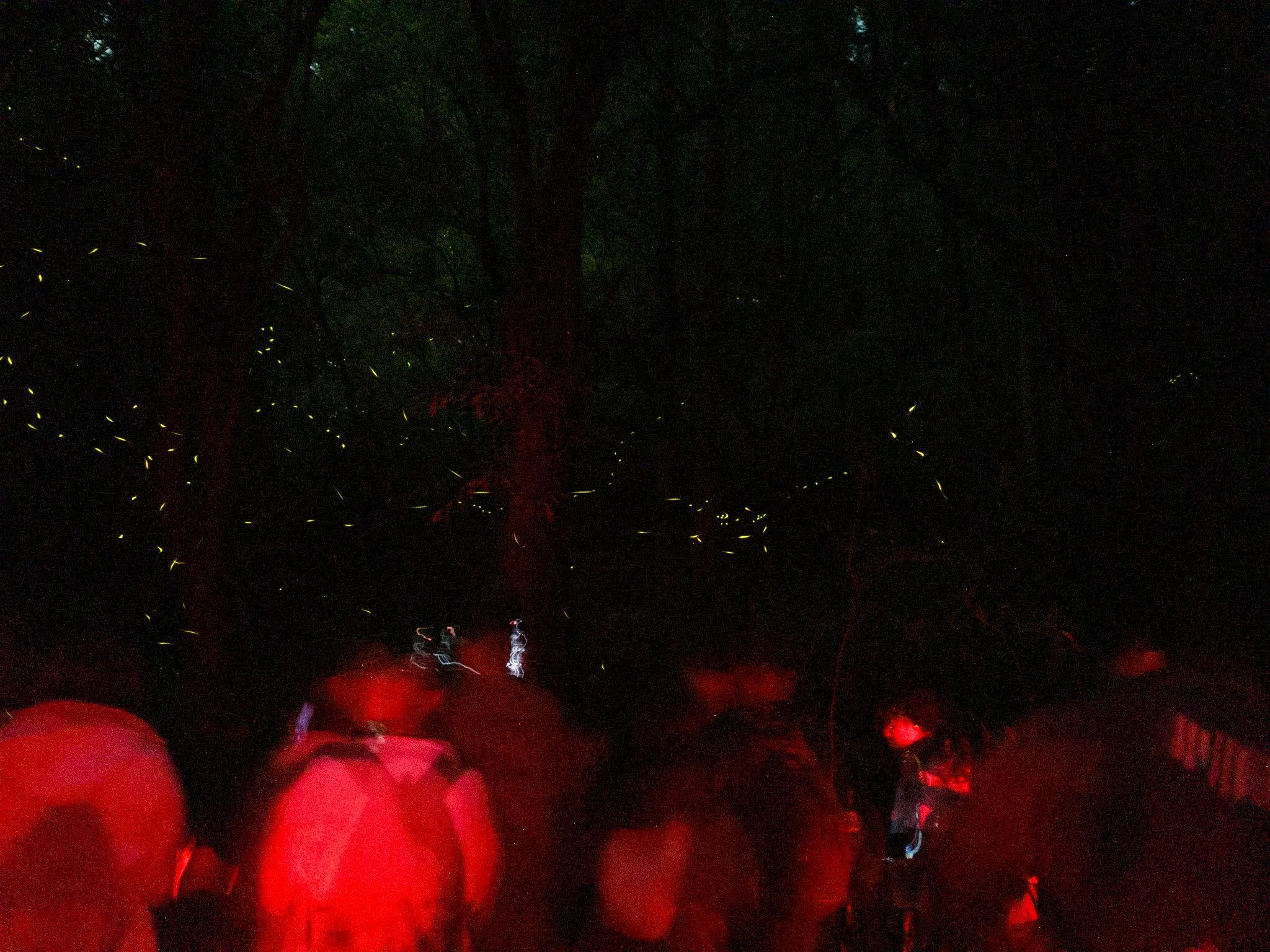 IMG20250726195407.jpg