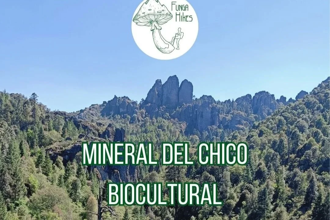Tour Biocultural. El Chico, Hidalgo.