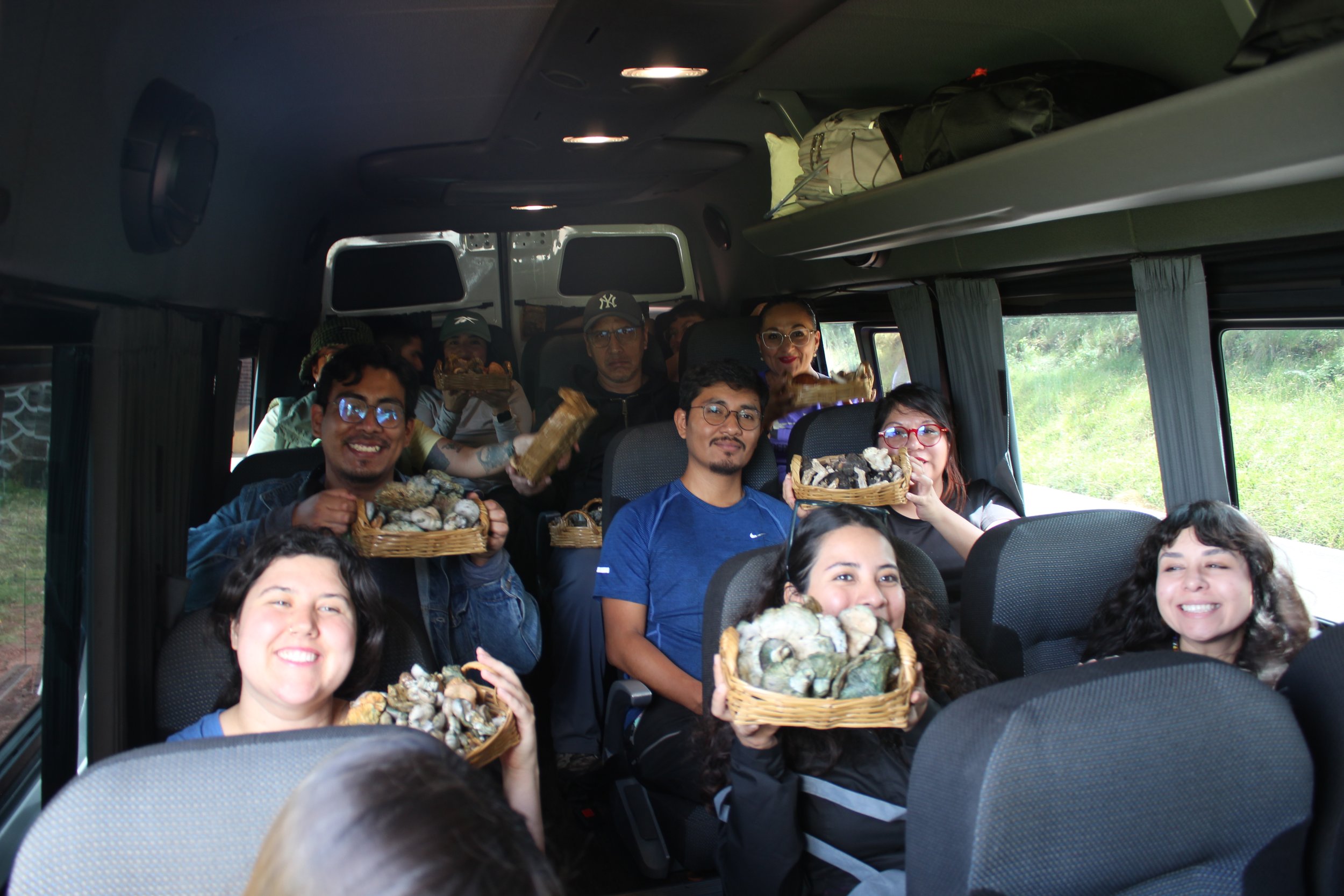 Cada viajero lleva sus hongos comestibles a casa, entre ellos, Lactarius indigo