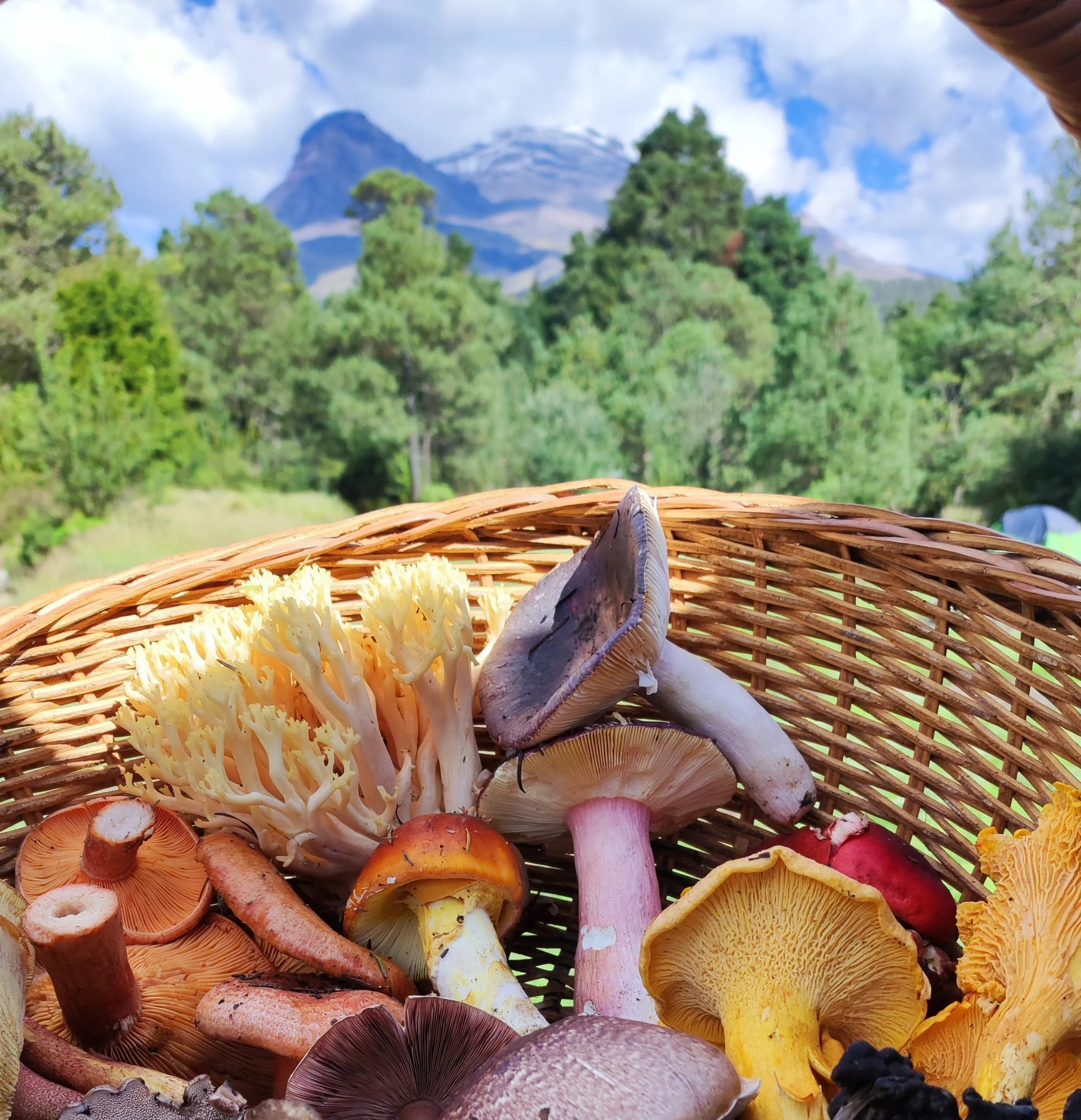Panorámicas de la Iztaccíhuatl
