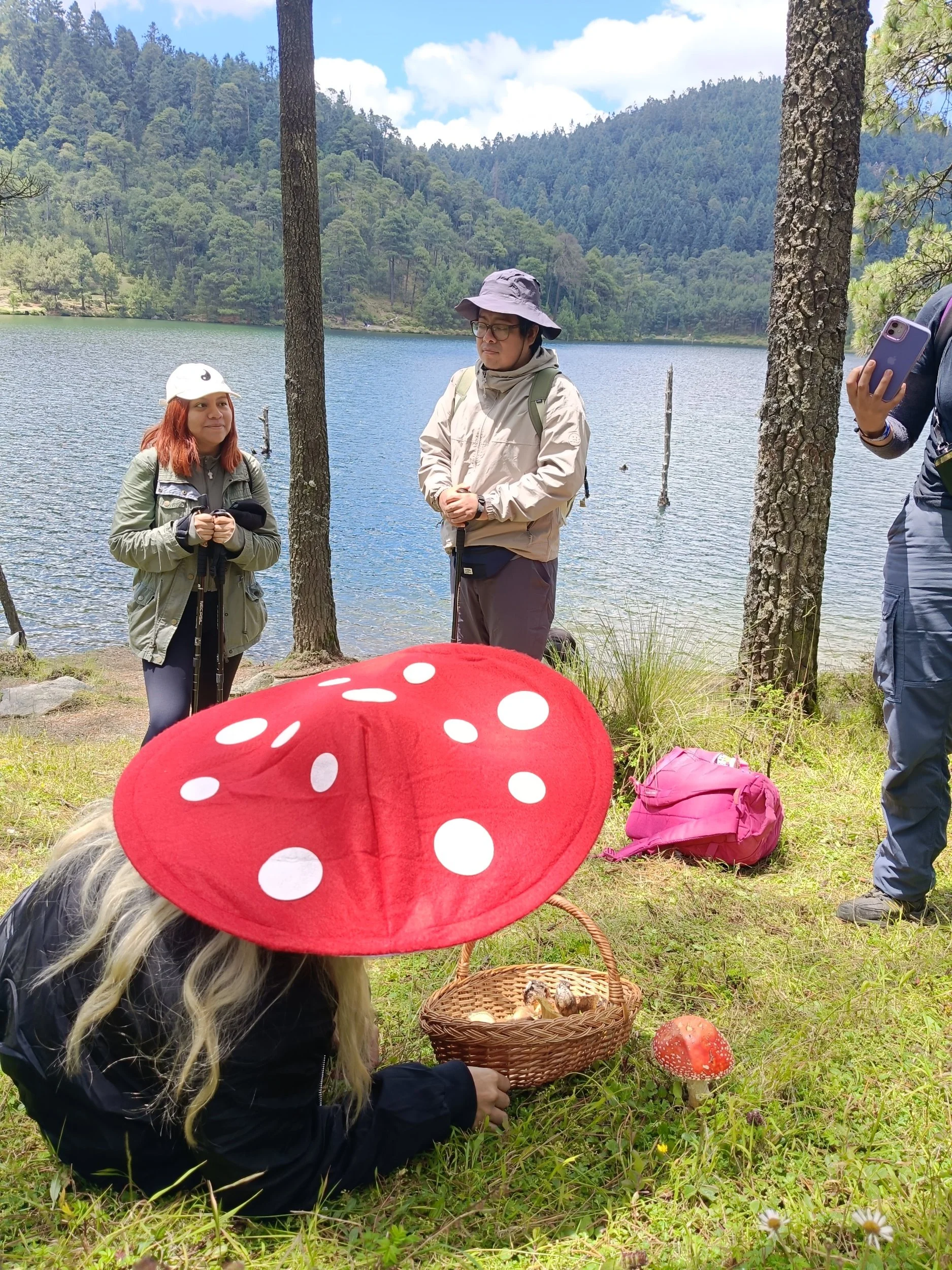 processed_IMG20250831133841.jpg