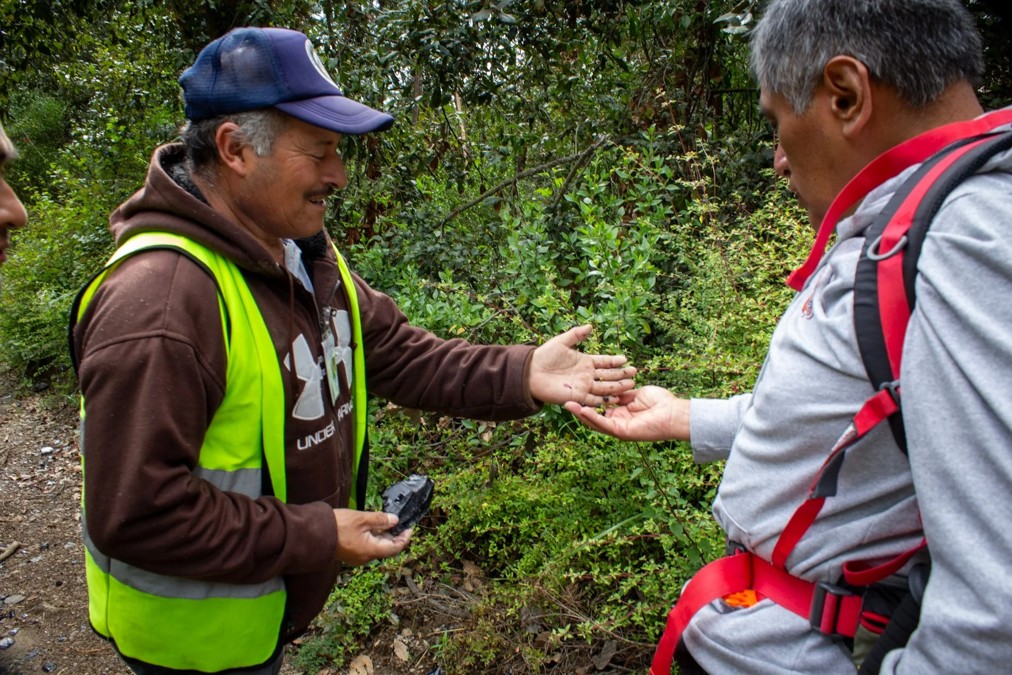 Recorrido guiado por guía local