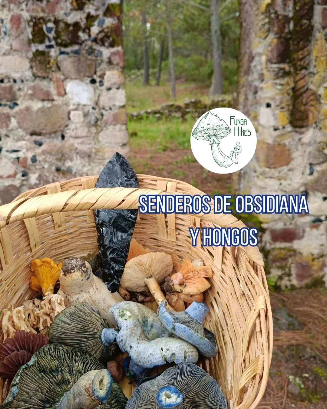 Tour Senderos de Obsidiana y Hongos