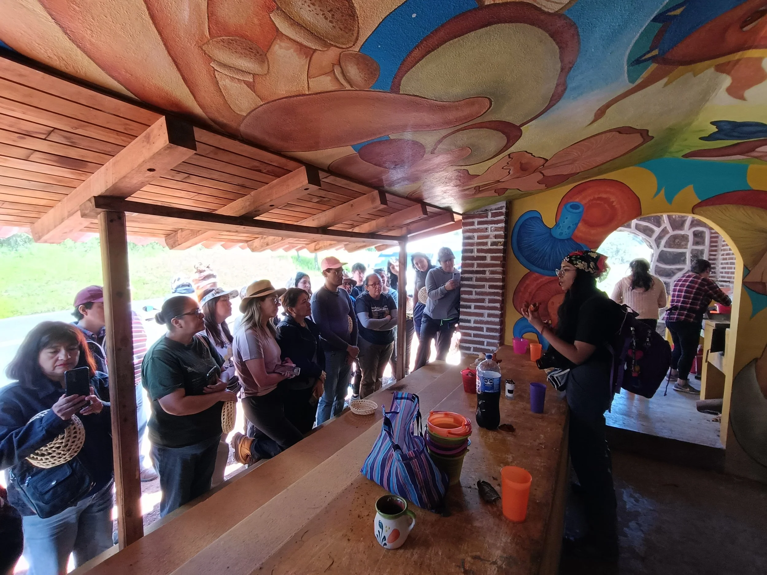 Grupo de personas en fila esperando una explicación o demostración en un espacio con paredes decoradas con pinturas coloridas de hongos, setas y naturaleza, y techo de madera.