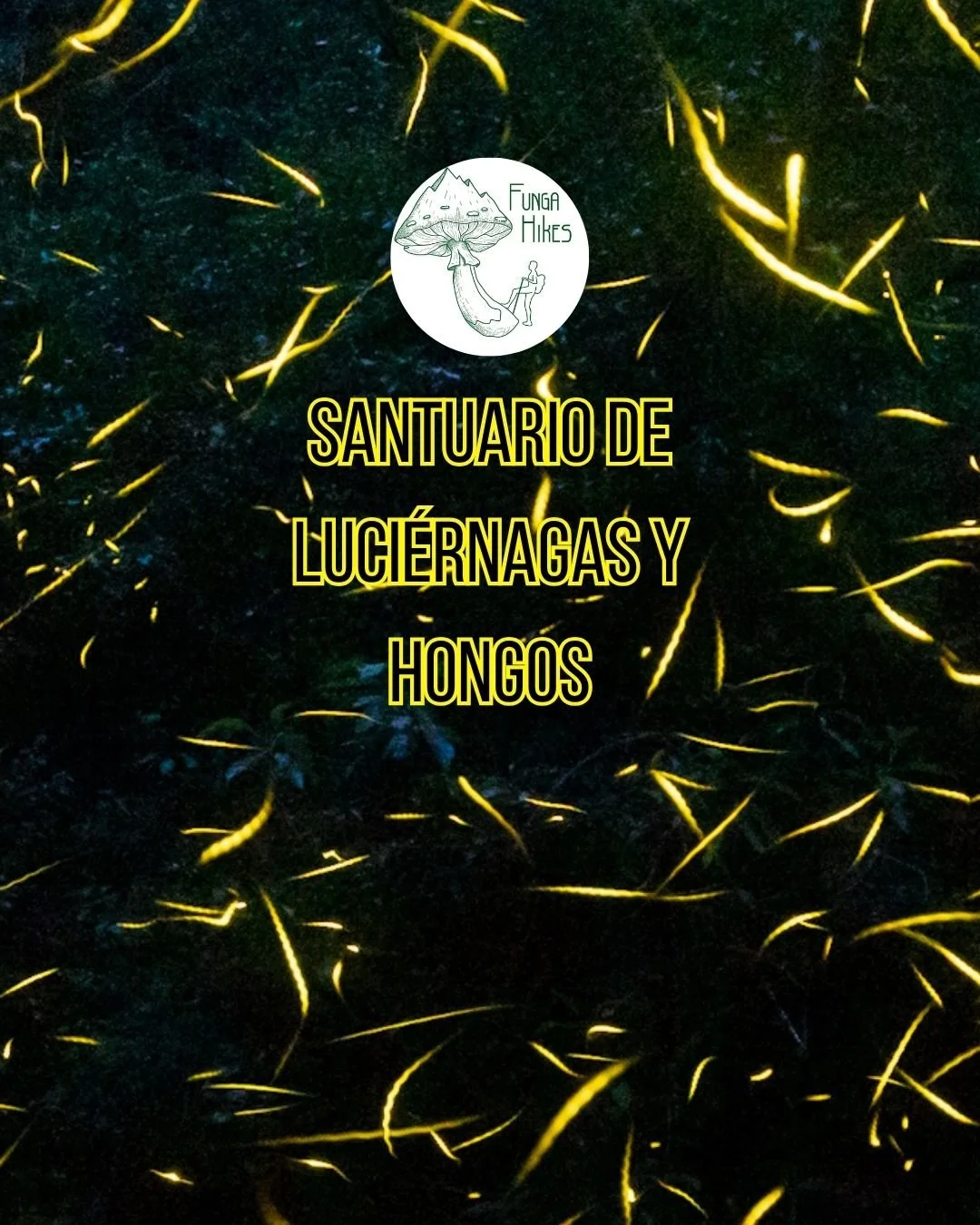 Tour Santuario de Luciérnagas y Hongos