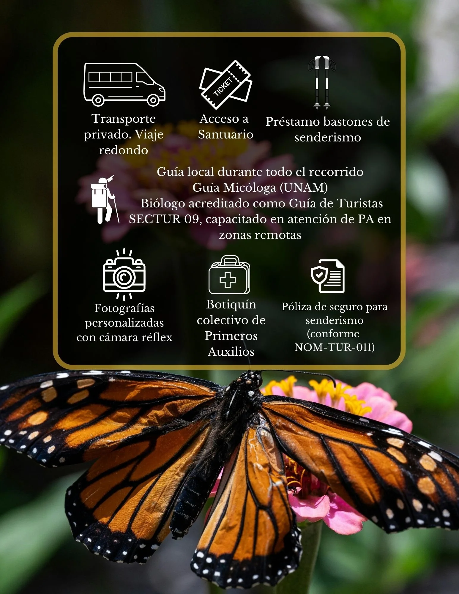 qué incluye el tour al santuario monarca saliendo de ciudad de méxico, incluye entrada