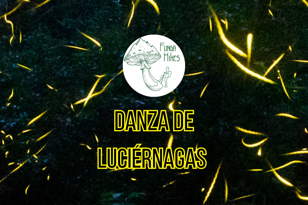 Santuario de Luciérnagas y Hongos
