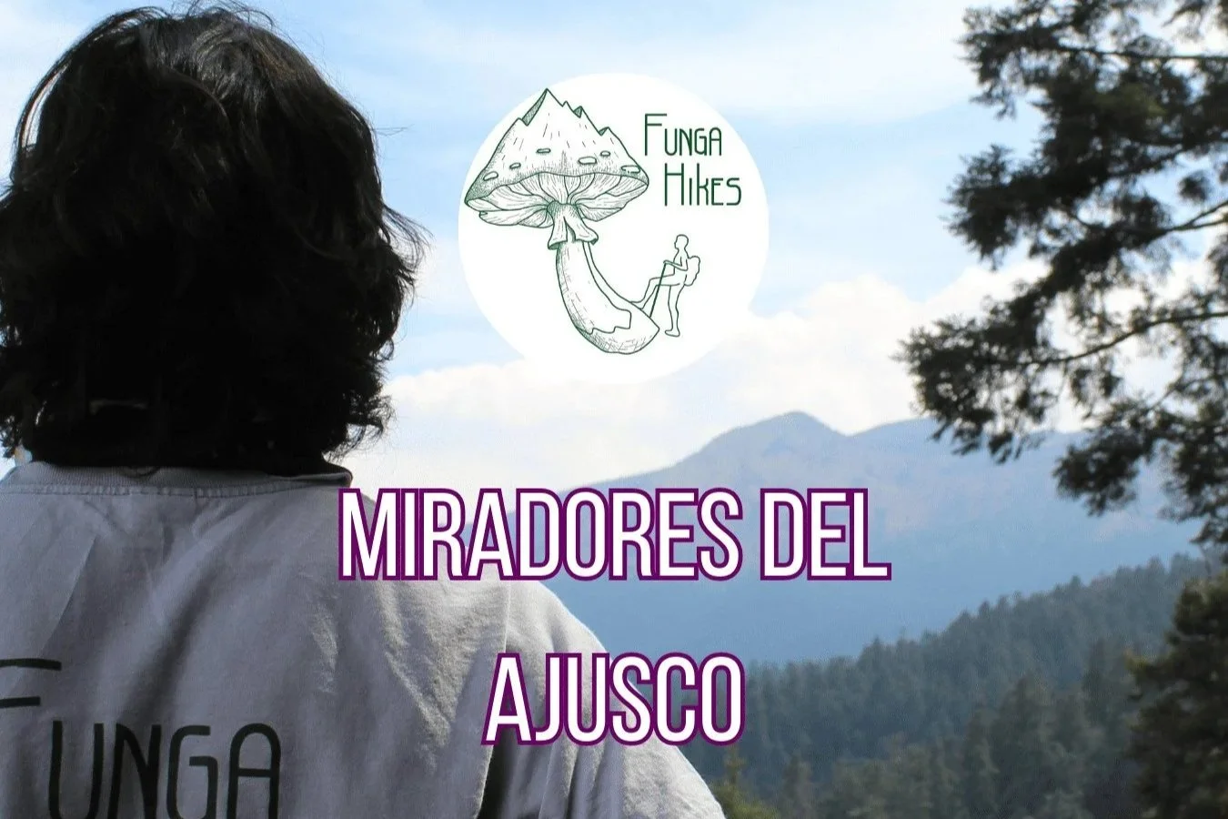 Miradores del Ajusco