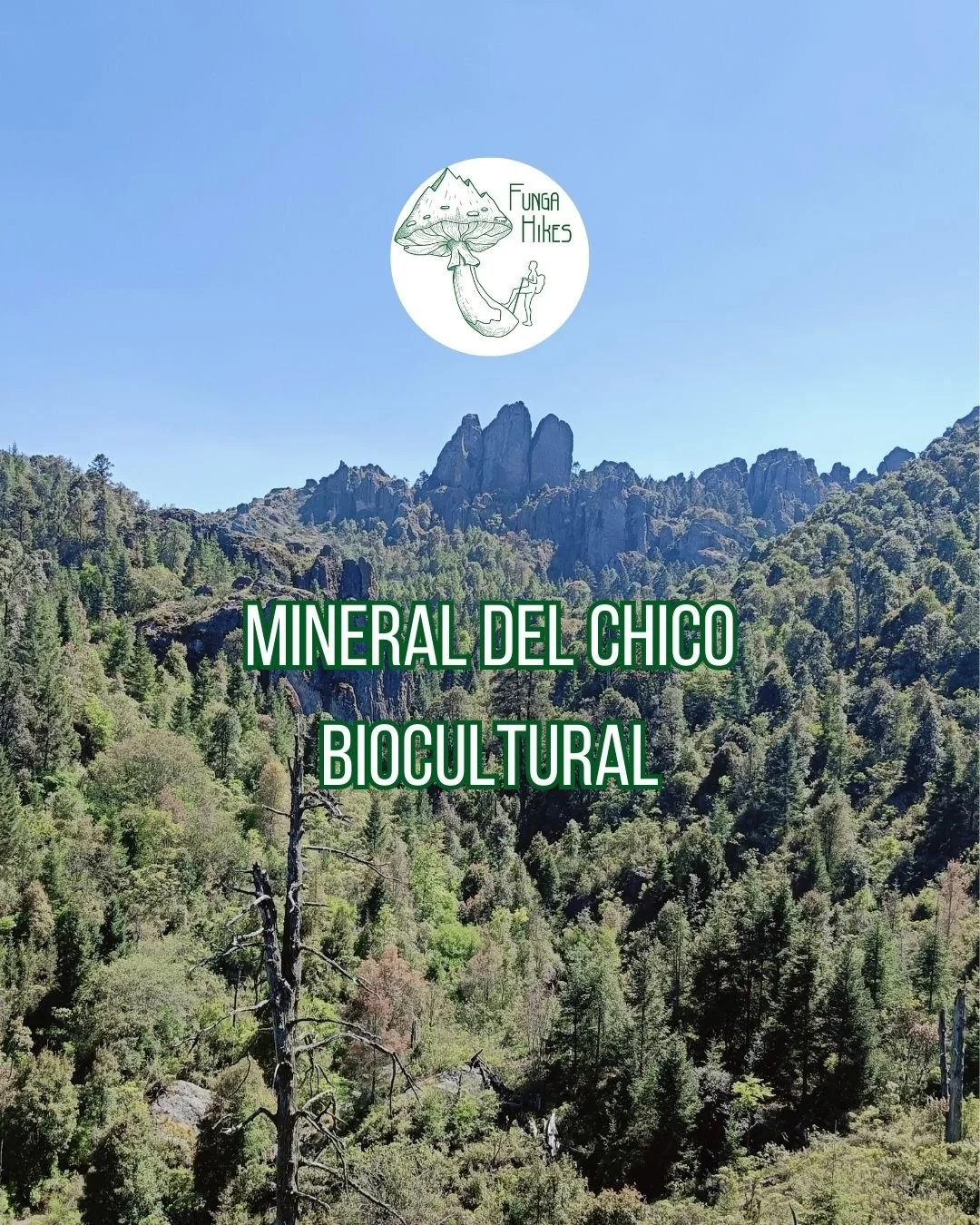 Mineral del Chico Biocultural.