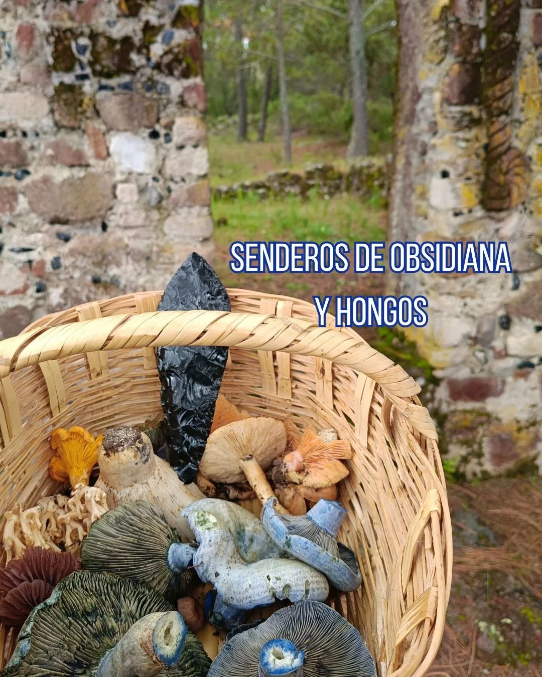 Senderos de obsidiana y hongos