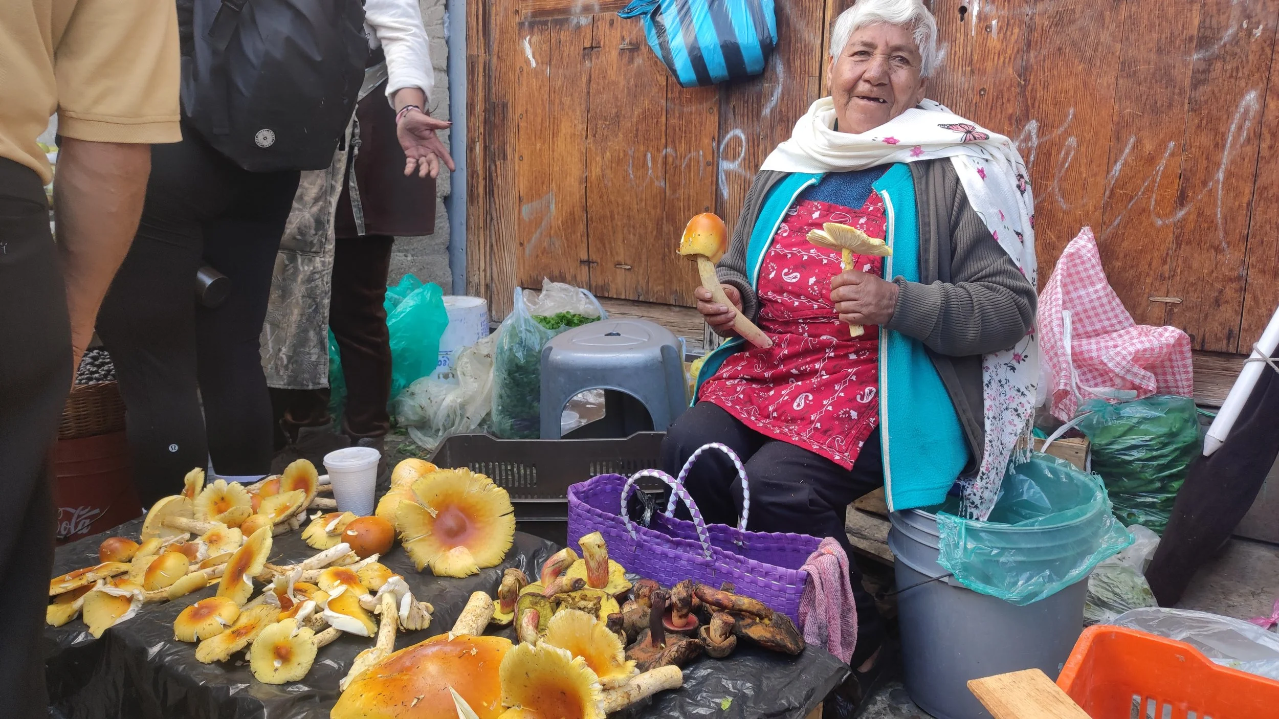 Anciana vendiendo setas en un mercado al aire libre.