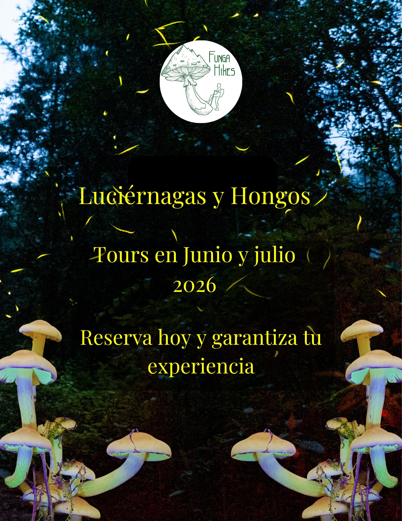 Tours de luciérnagas y hongos desde Ciudad de México 