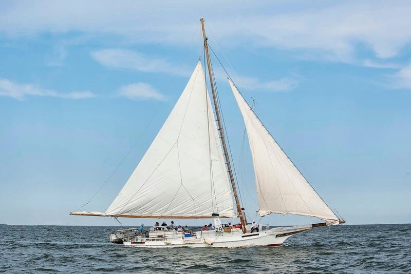 Rebecca T Rourk.jpeg