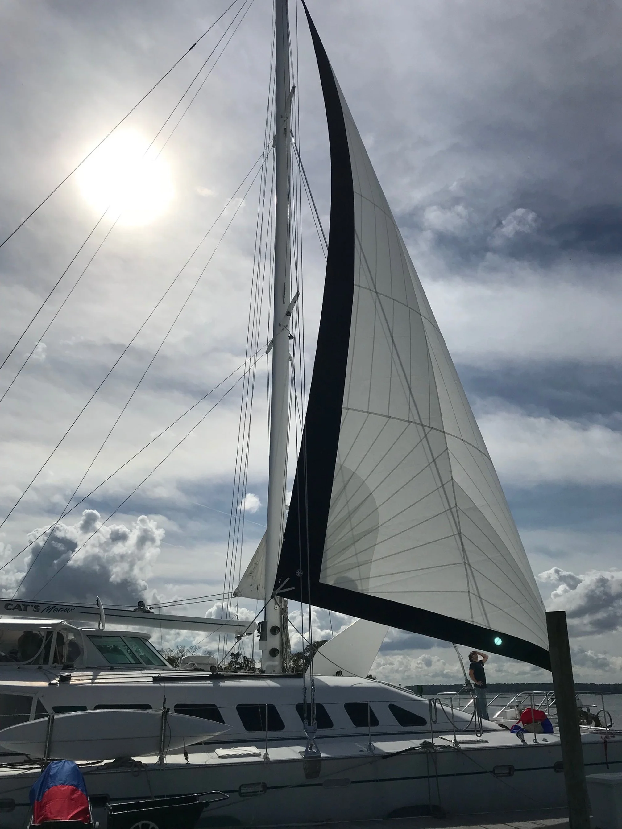 Catamaran Sails
