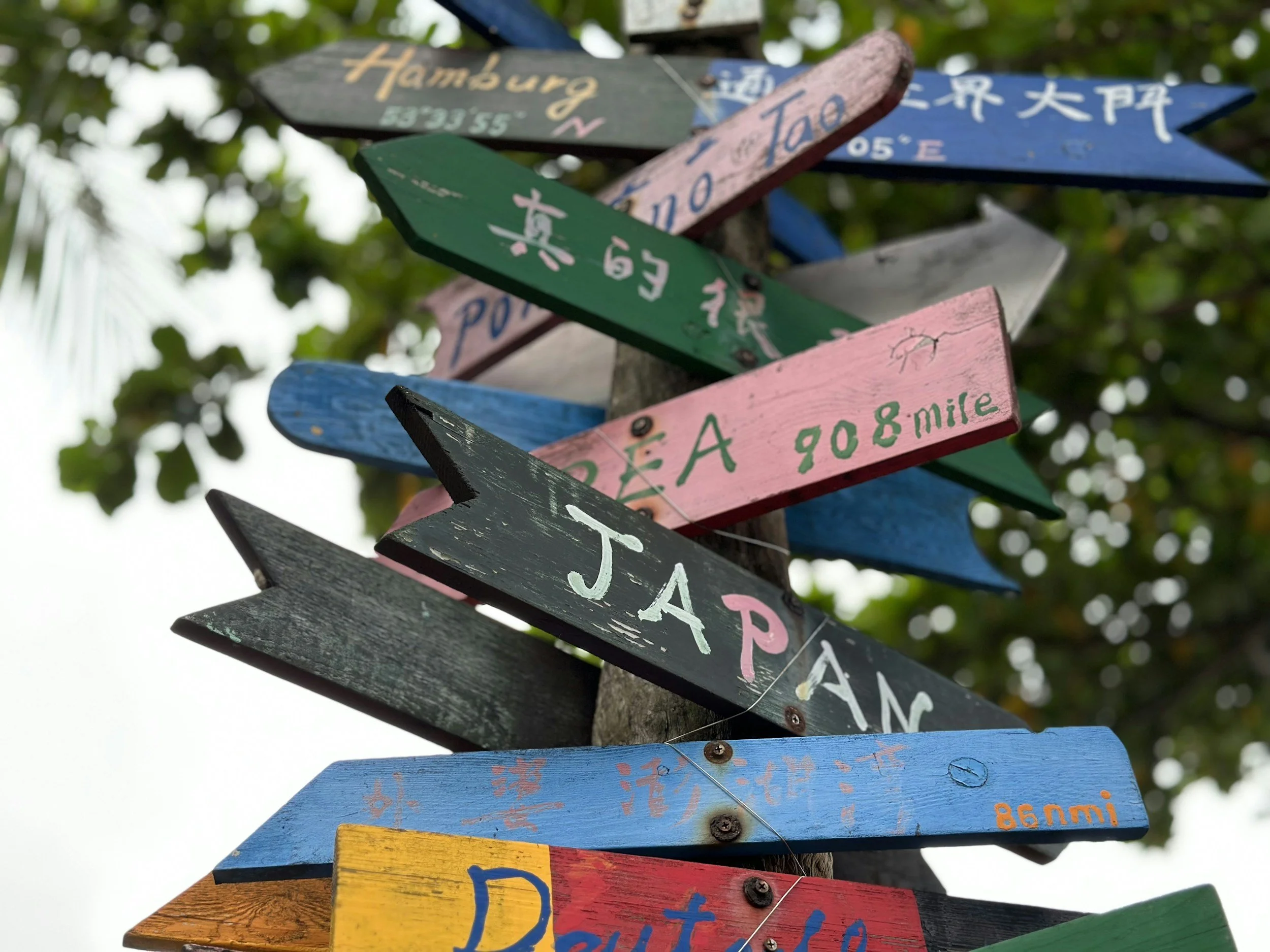 how to decide whether to stay or leave expat