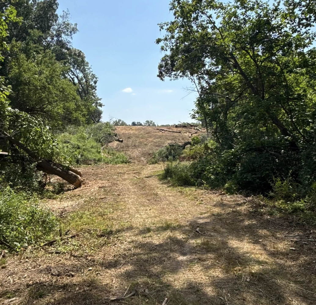 Recently cleared property after land clearing and brush removal by 3D Excavating