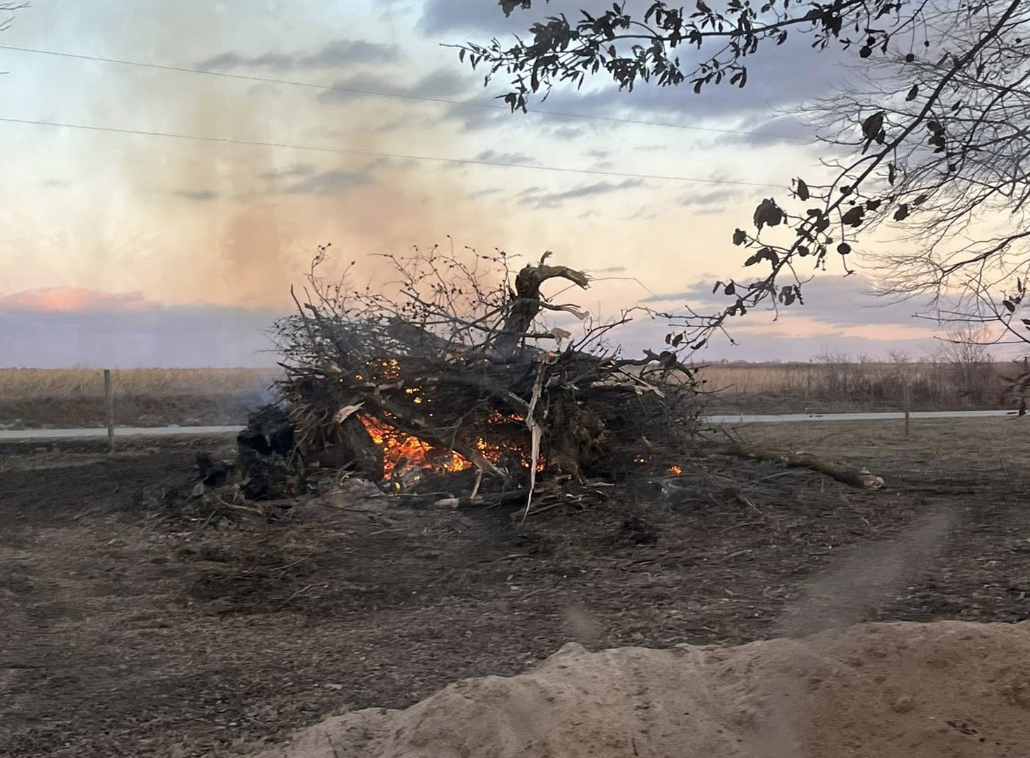 A burned, charred tree with identifiable skull shape in the middle, burning embers underneath, set in an outdoor field during dusk, with a cloudy sky and some leafless branches on the right.